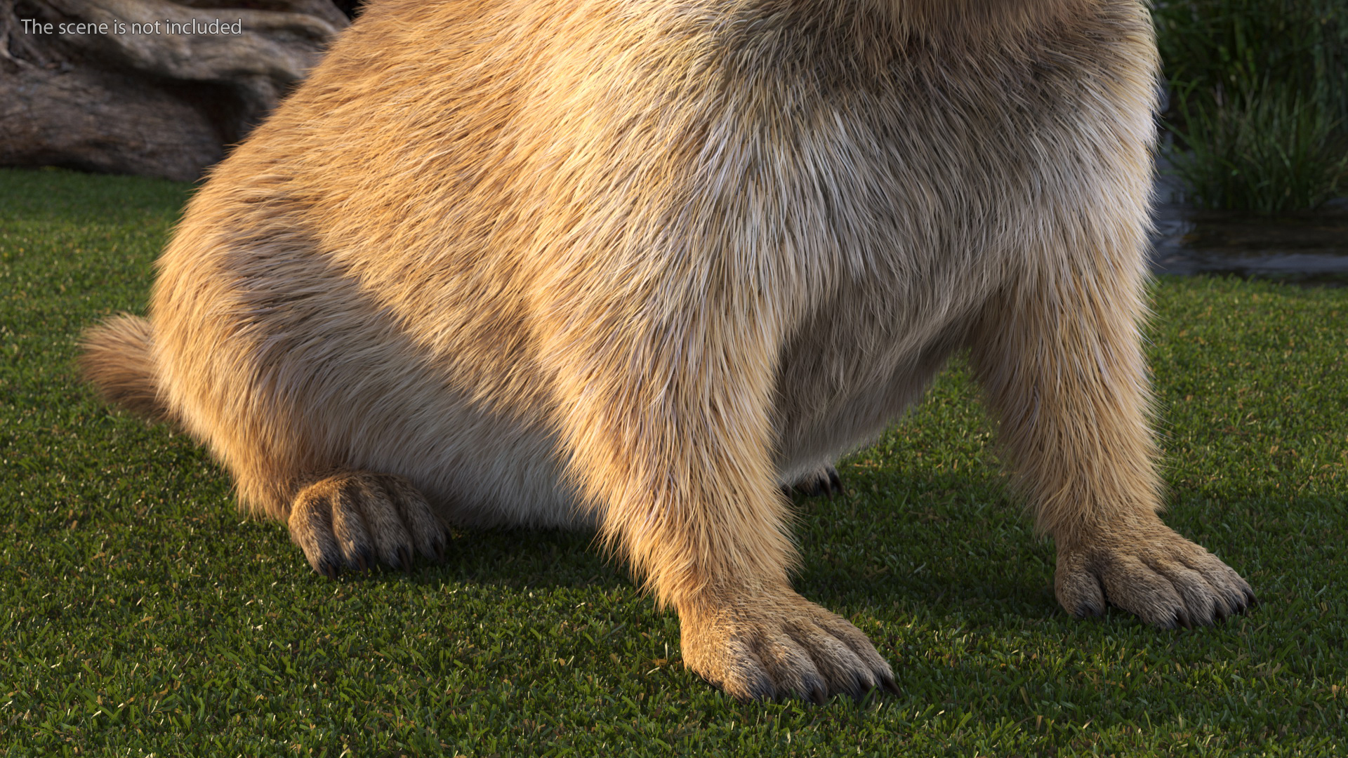 Sitting Ground Squirrel Fur 3D