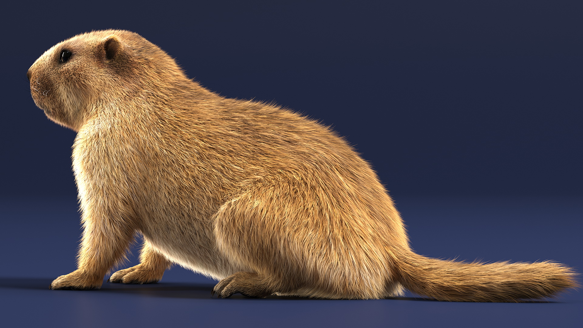 Sitting Ground Squirrel Fur 3D