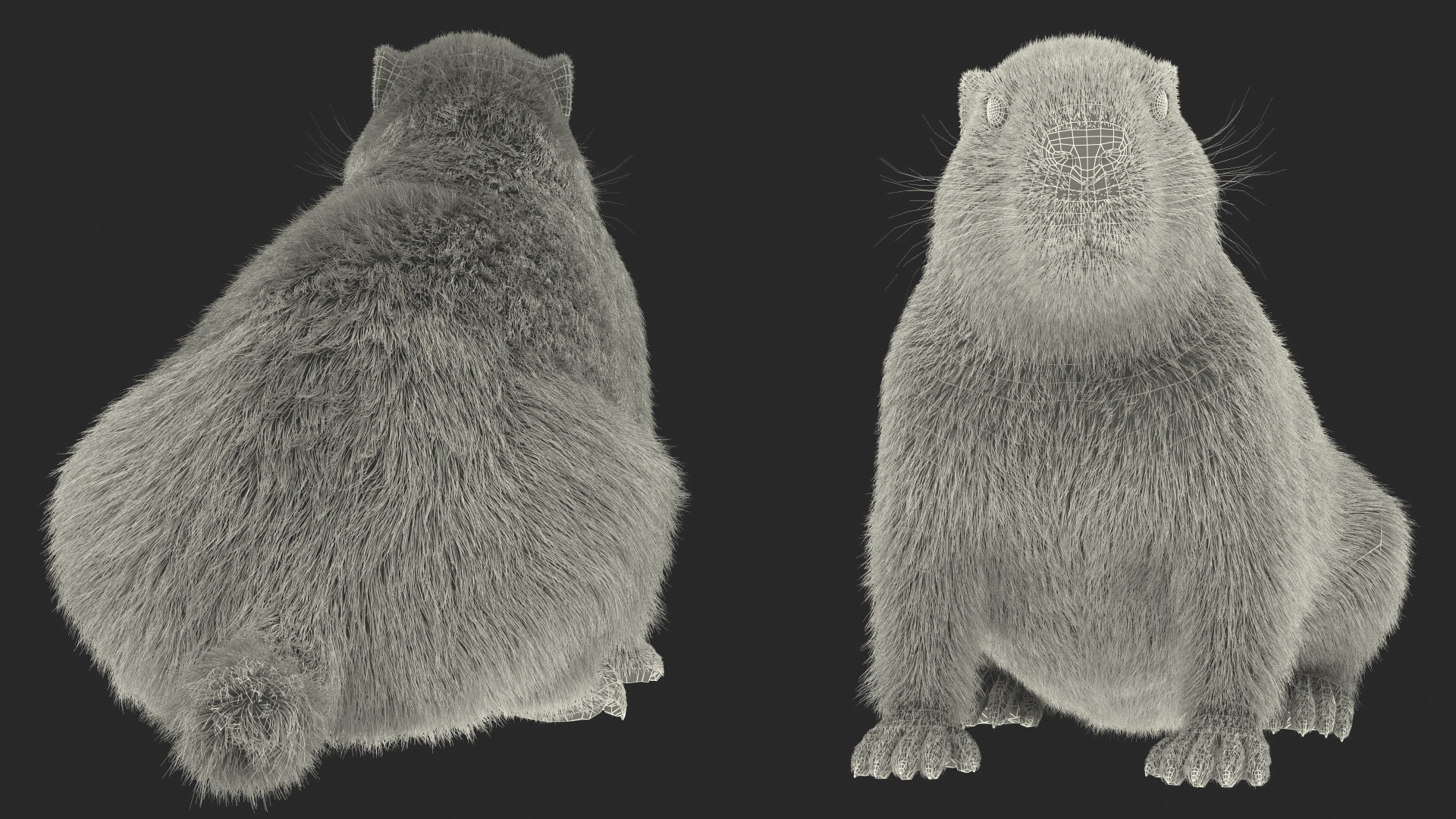 Sitting Ground Squirrel Fur 3D