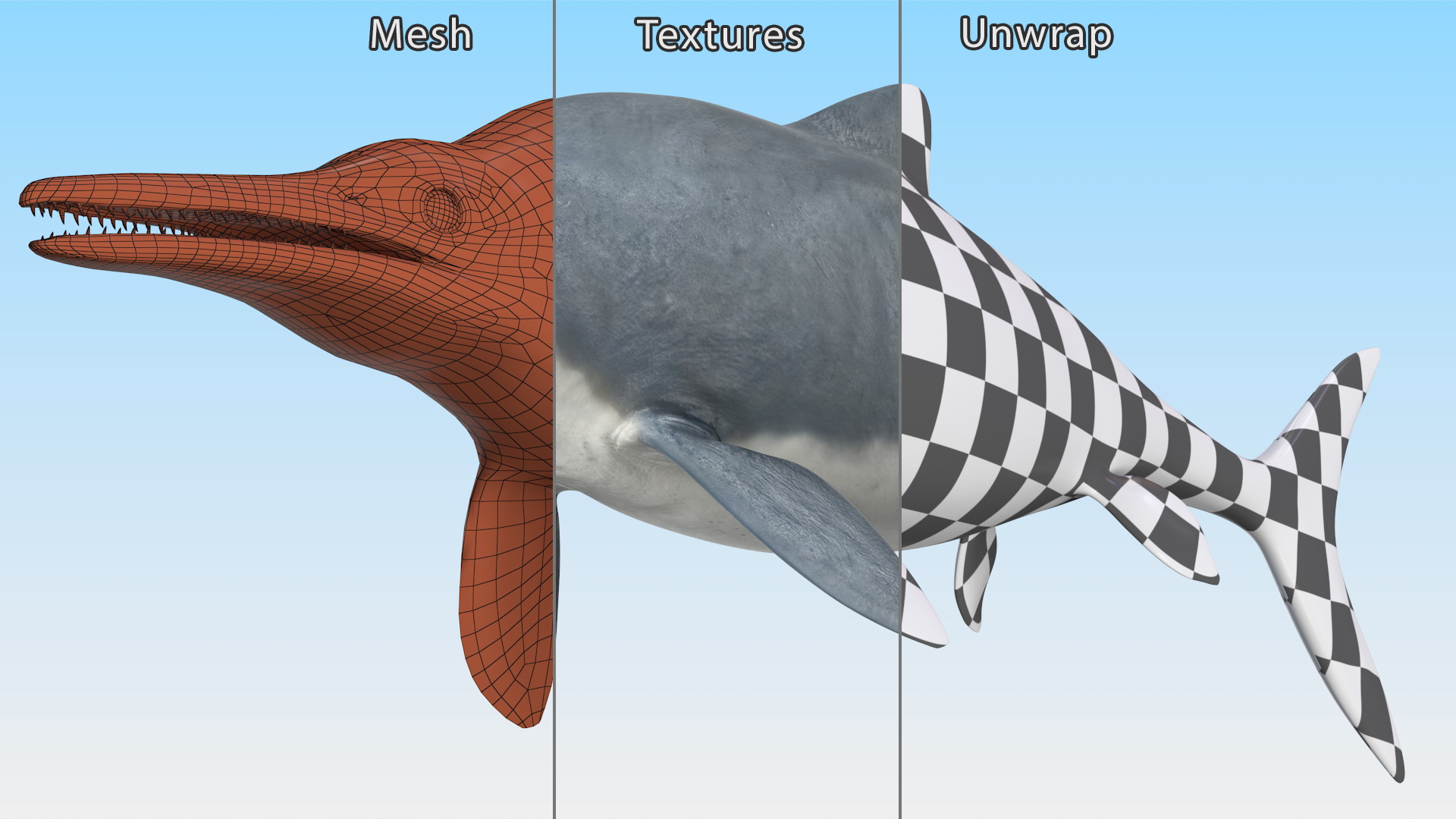 3D Ichthyosaur