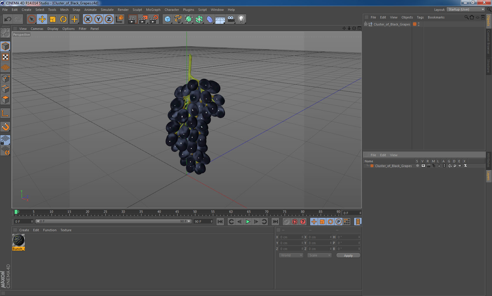 3D Cluster of Black Grapes model