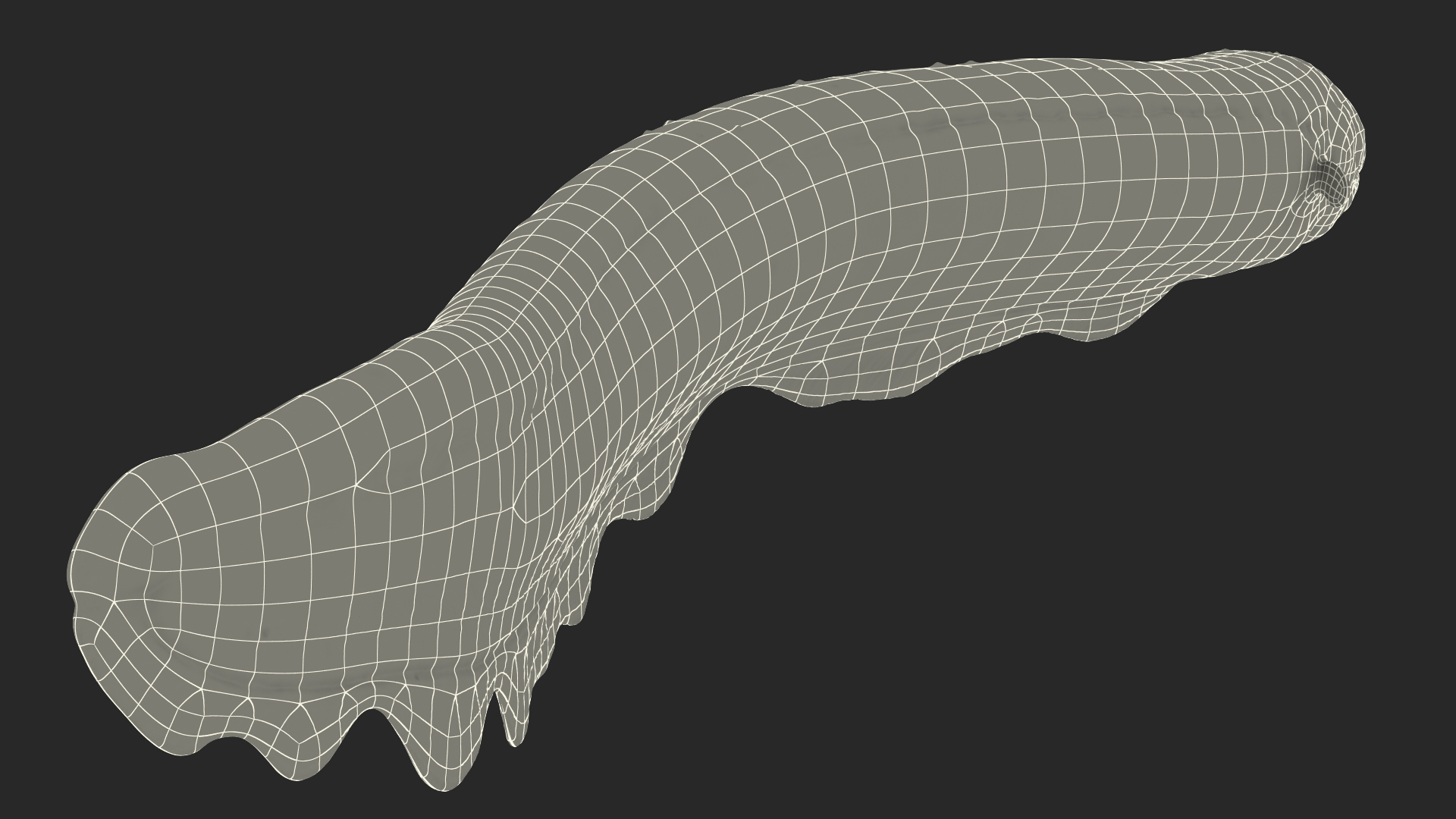 3D Electric Eel Swimming Pose