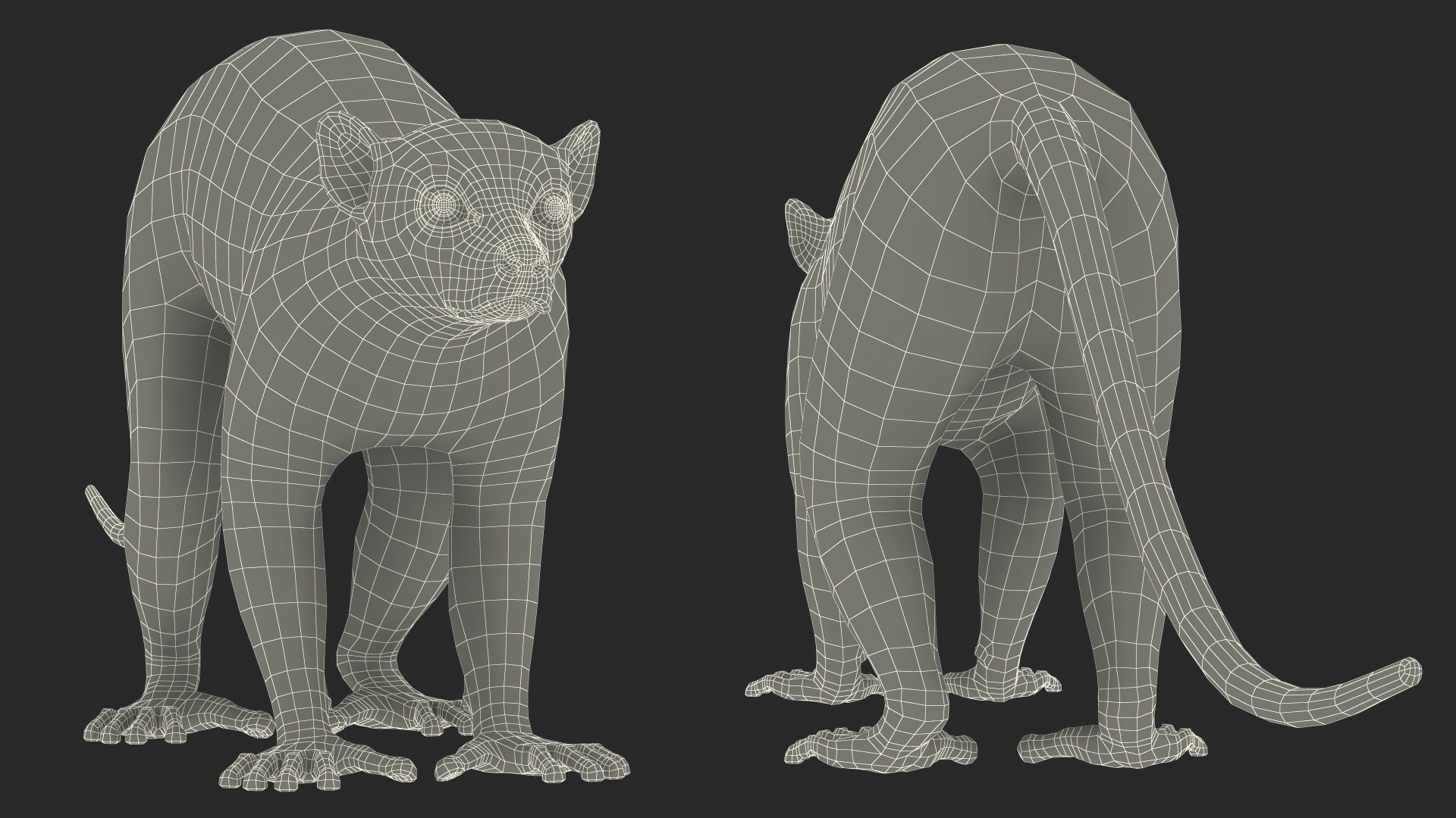 Lemur Fur 3D model