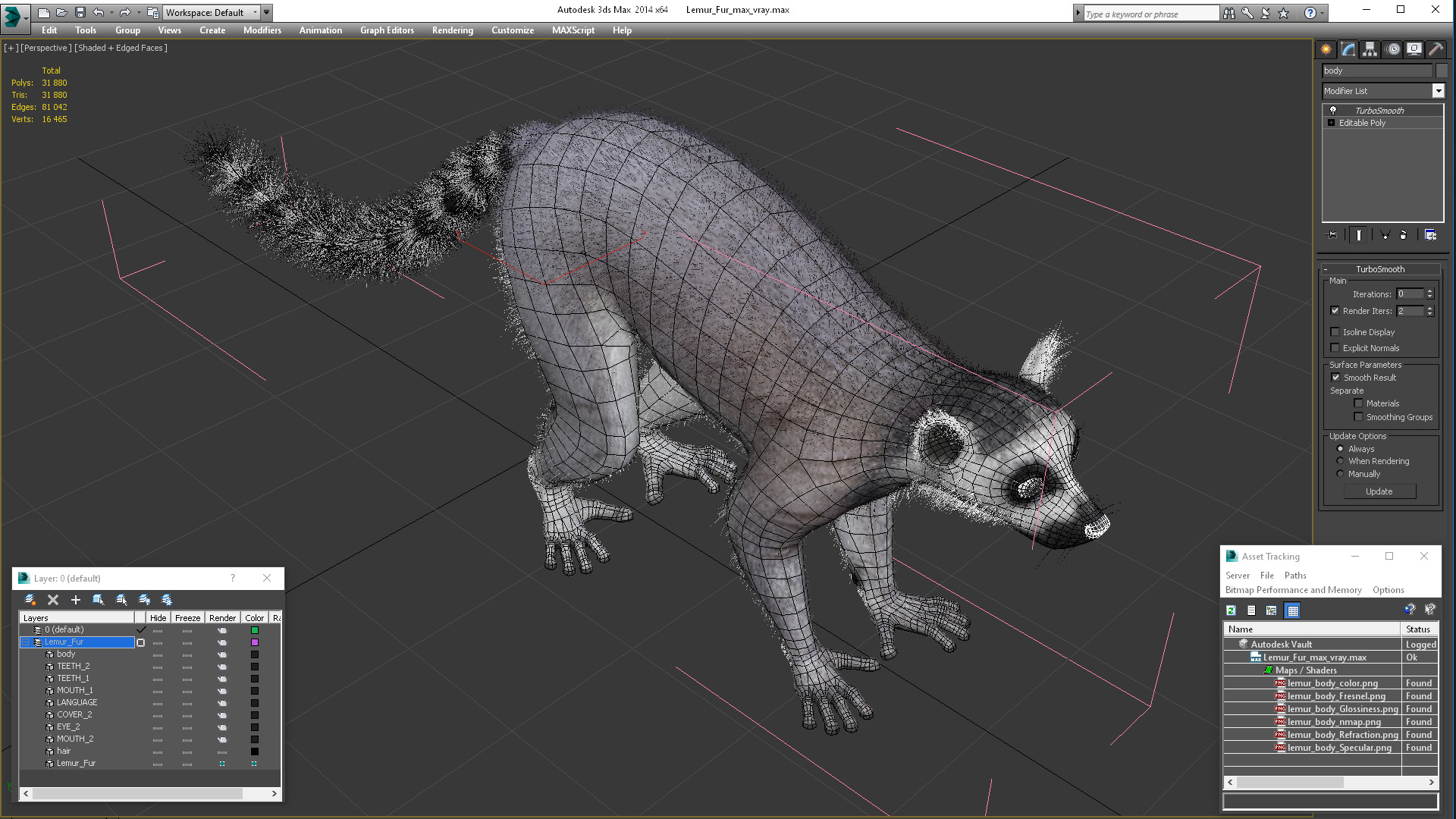 Lemur Fur 3D model