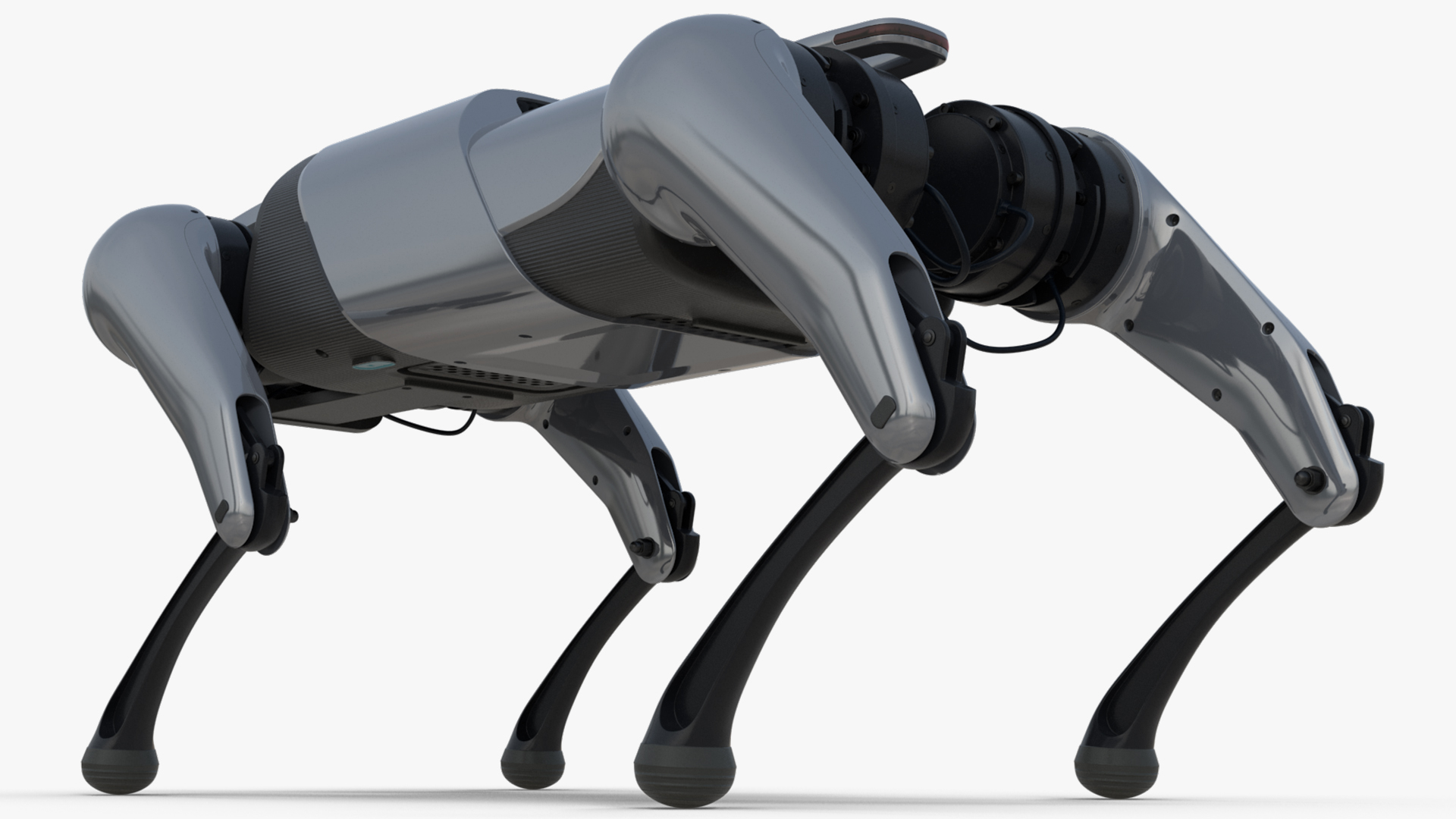 3D model CyberDog Gray Rigged