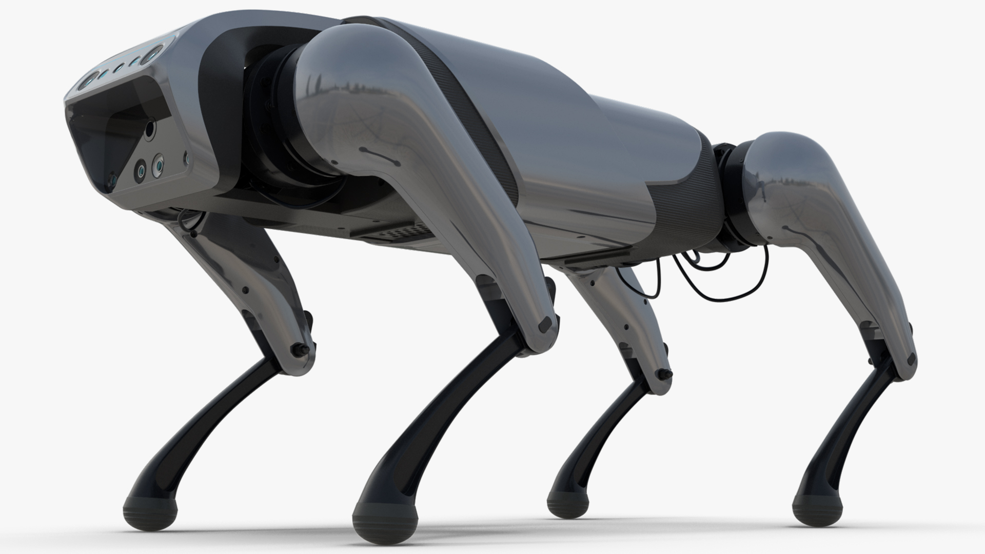 3D model CyberDog Gray Rigged