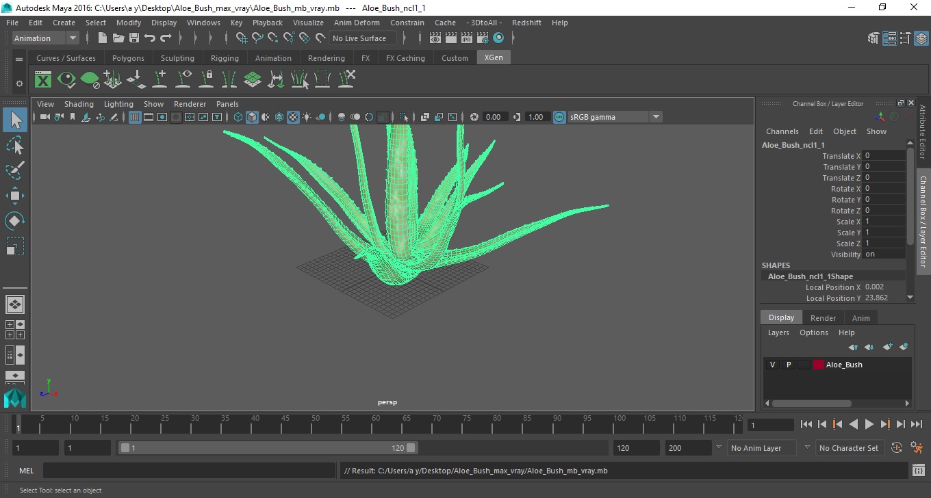 Aloe Bush 3D model
