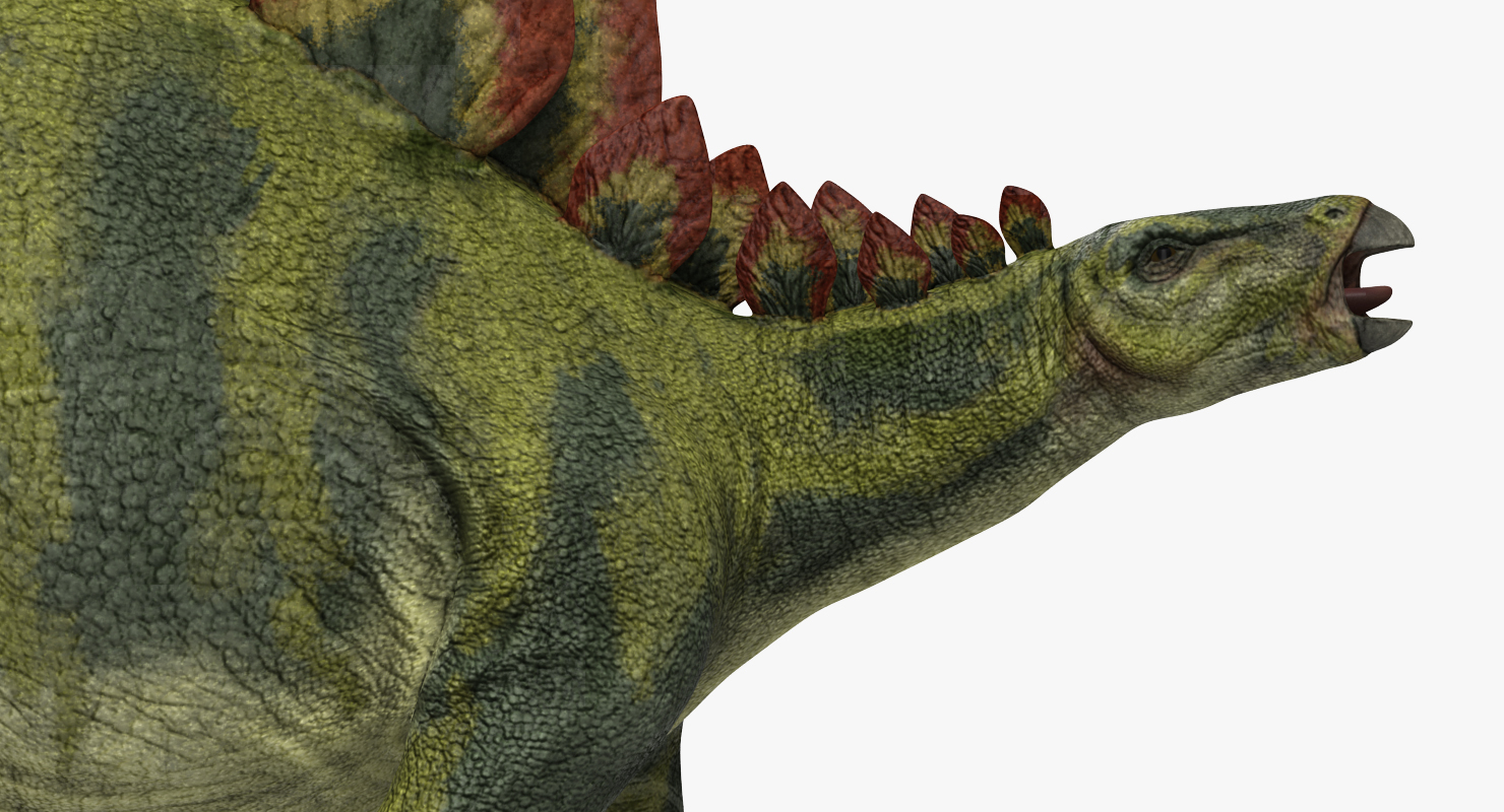 Stegosaurus Walking Pose 3D model