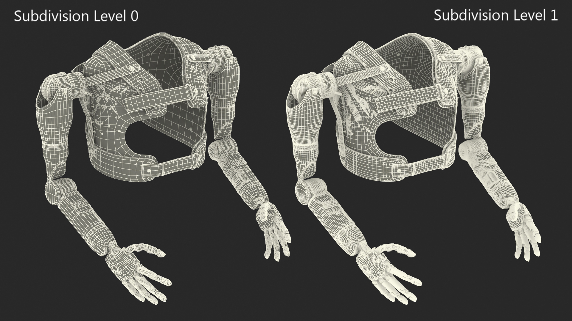 3D Modular Prosthetic Limbs Fur model