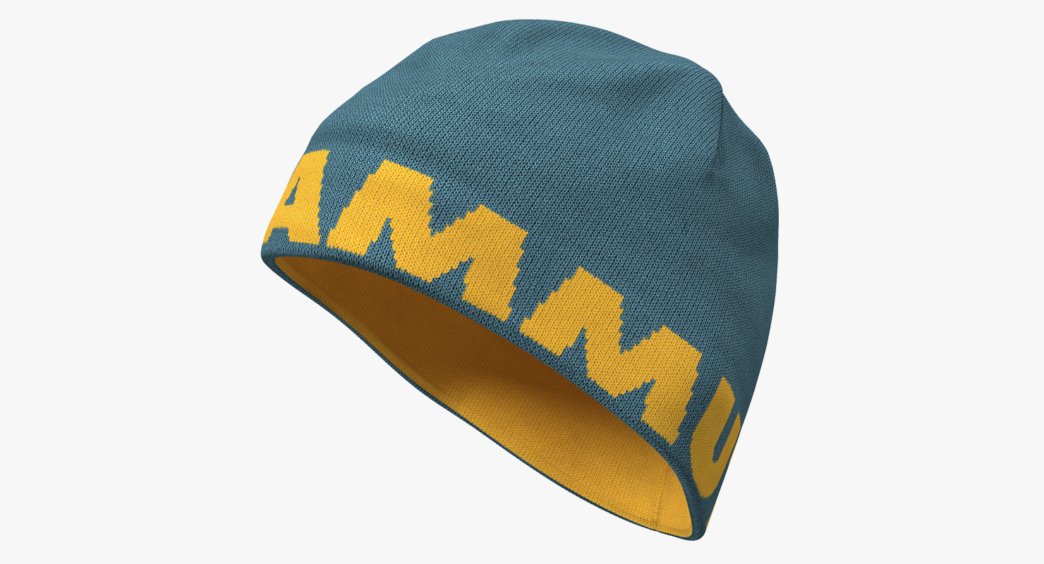 3D model Mens Winter Hat