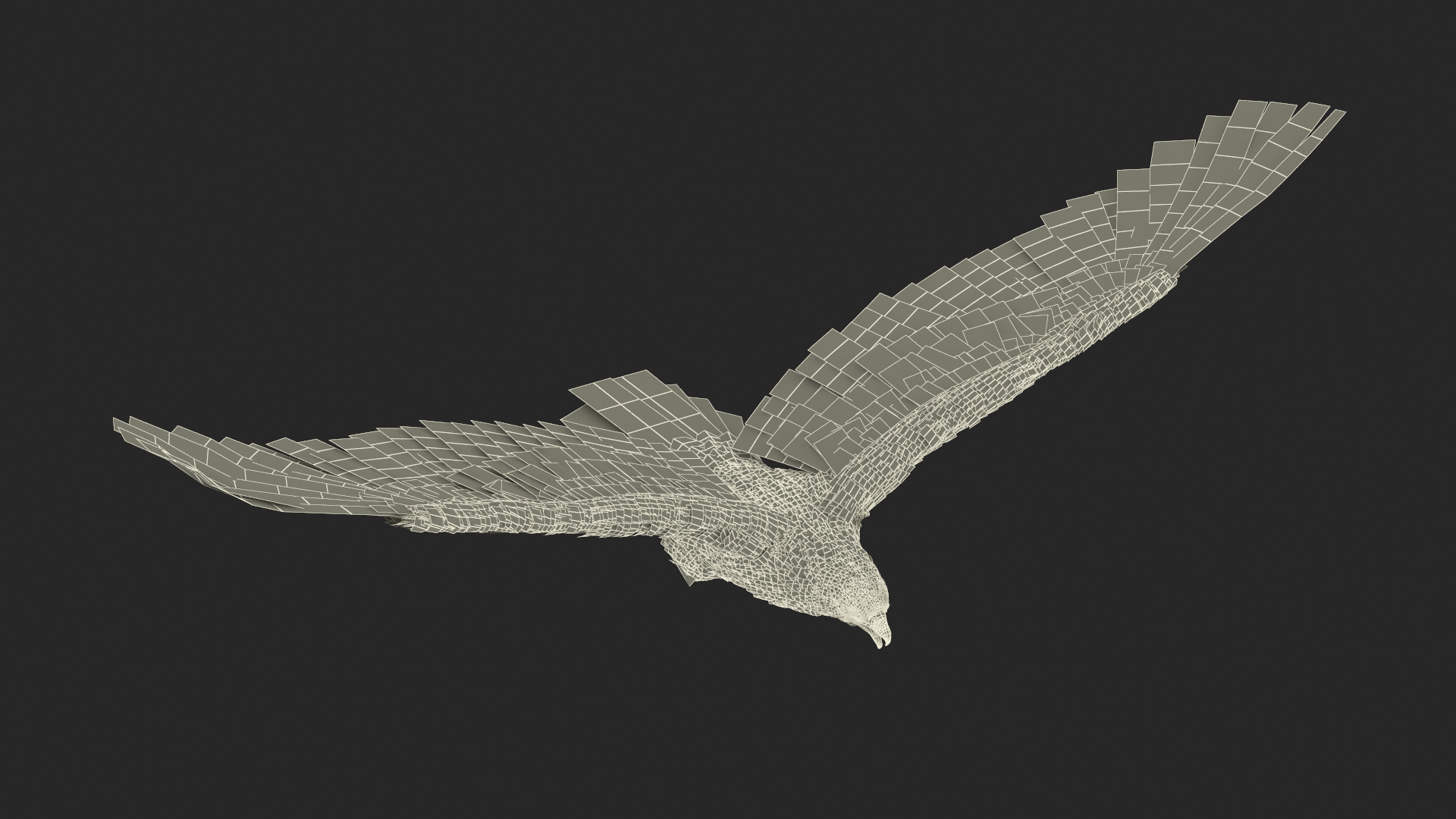 3D Aquila Heliaca Flying