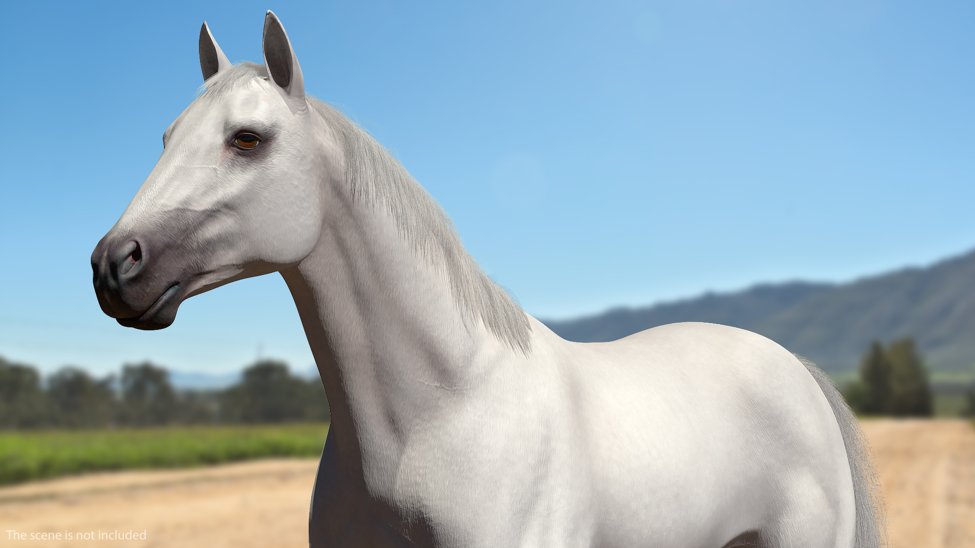 3D model White Horse Fur