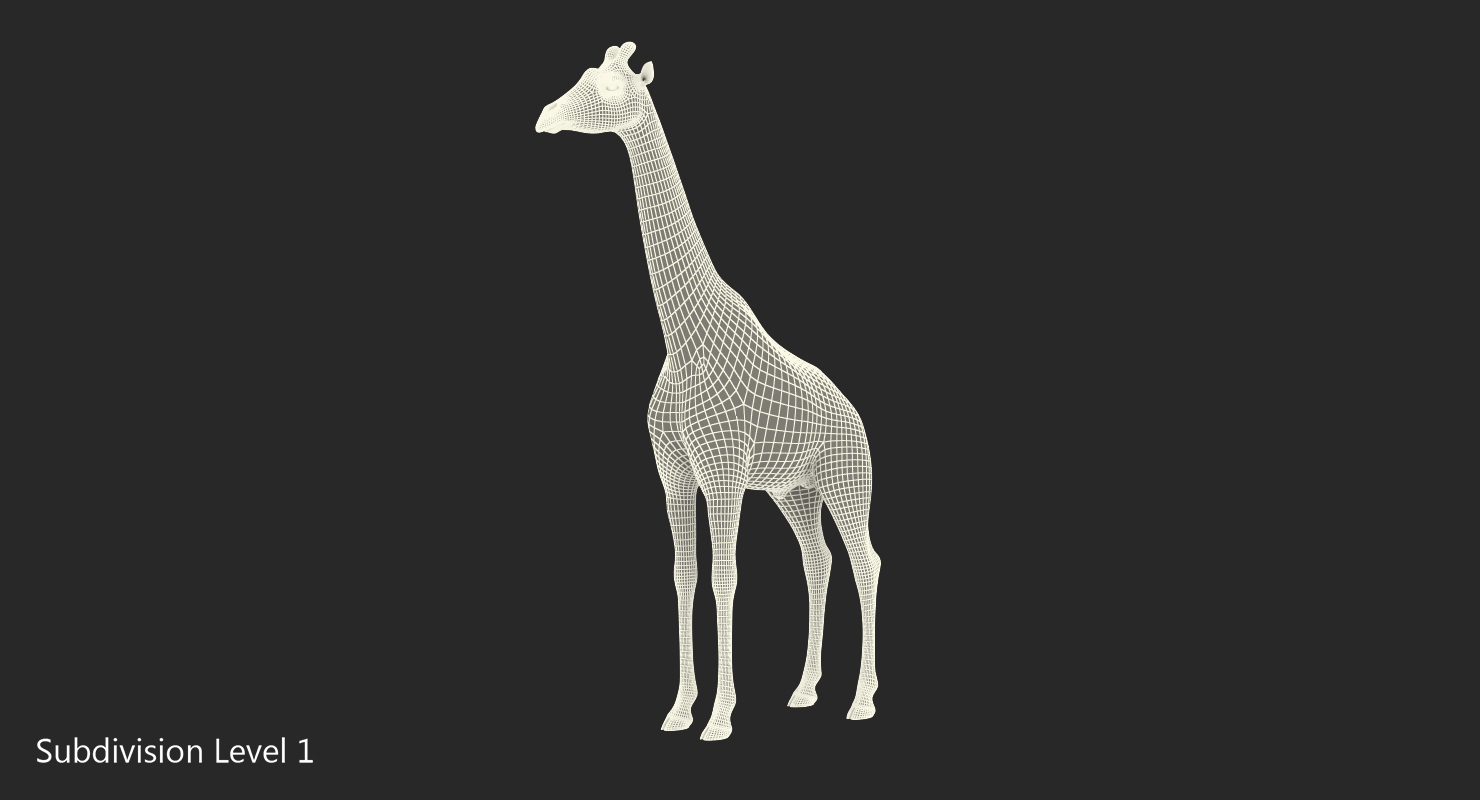 African Giraffe Fur 3D model