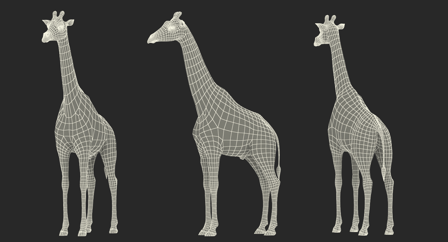 African Giraffe Fur 3D model