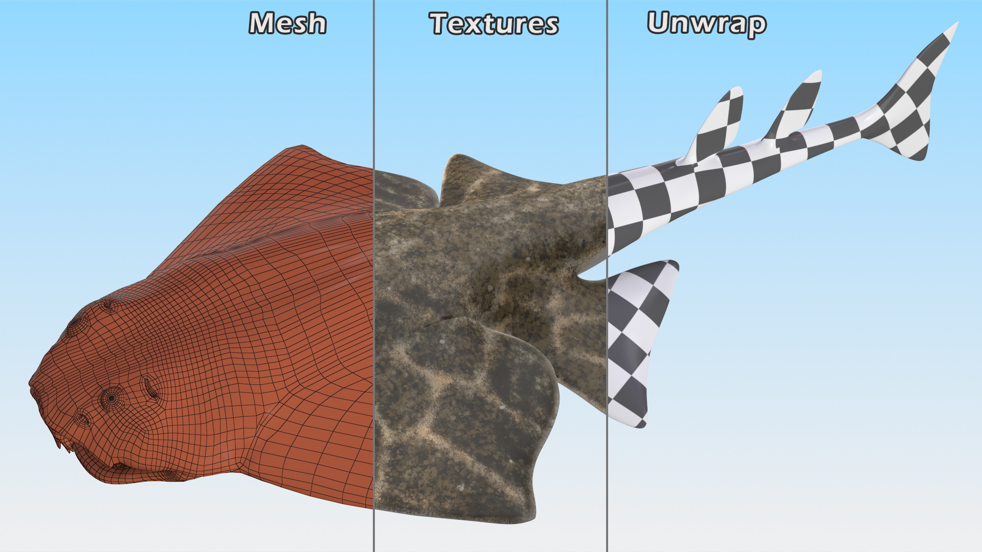 3D Angel Shark Rigged model