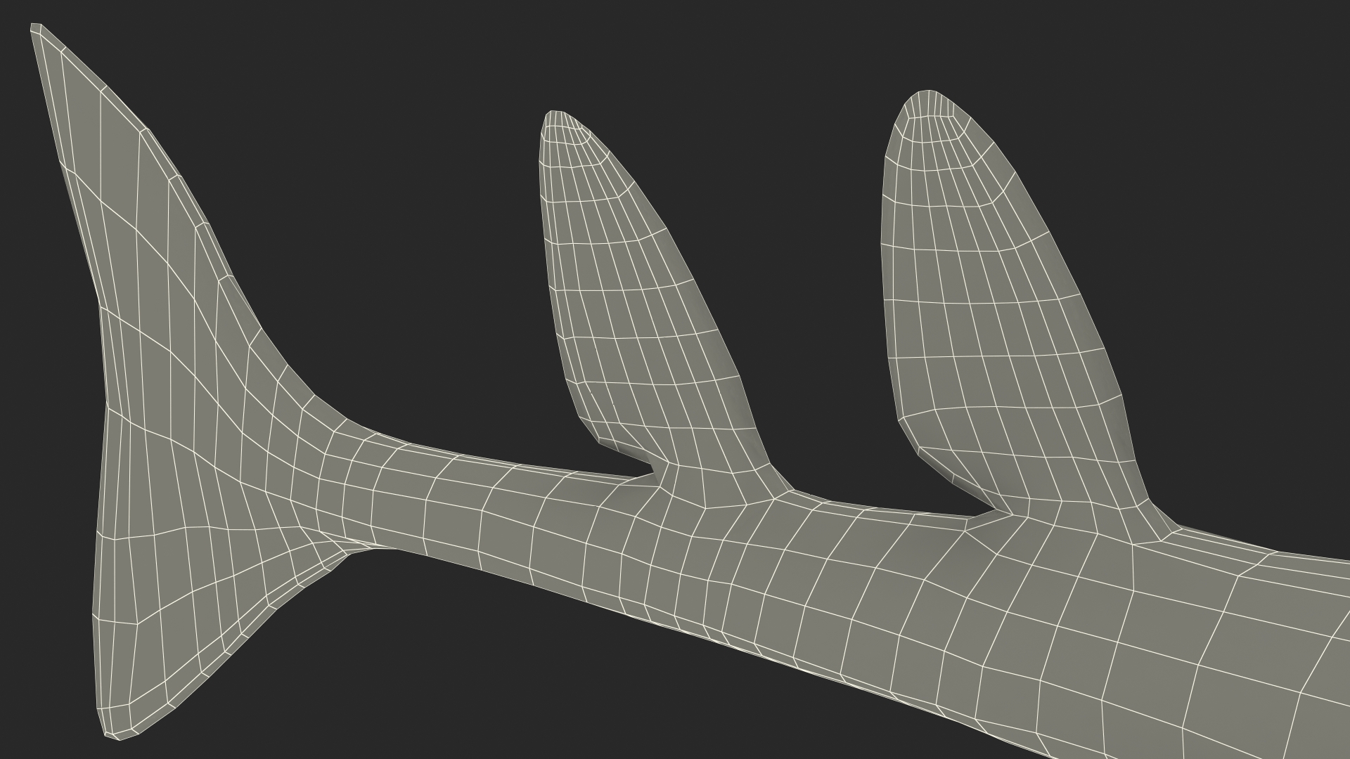 3D Angel Shark Rigged model