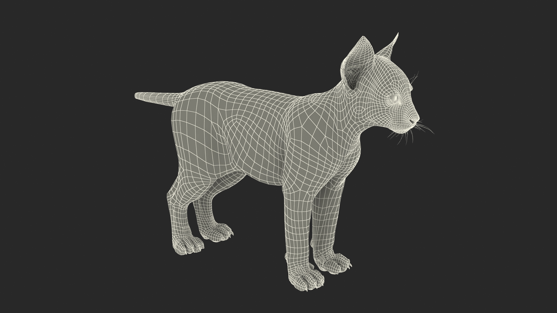 Lynx Cub Fur 3D