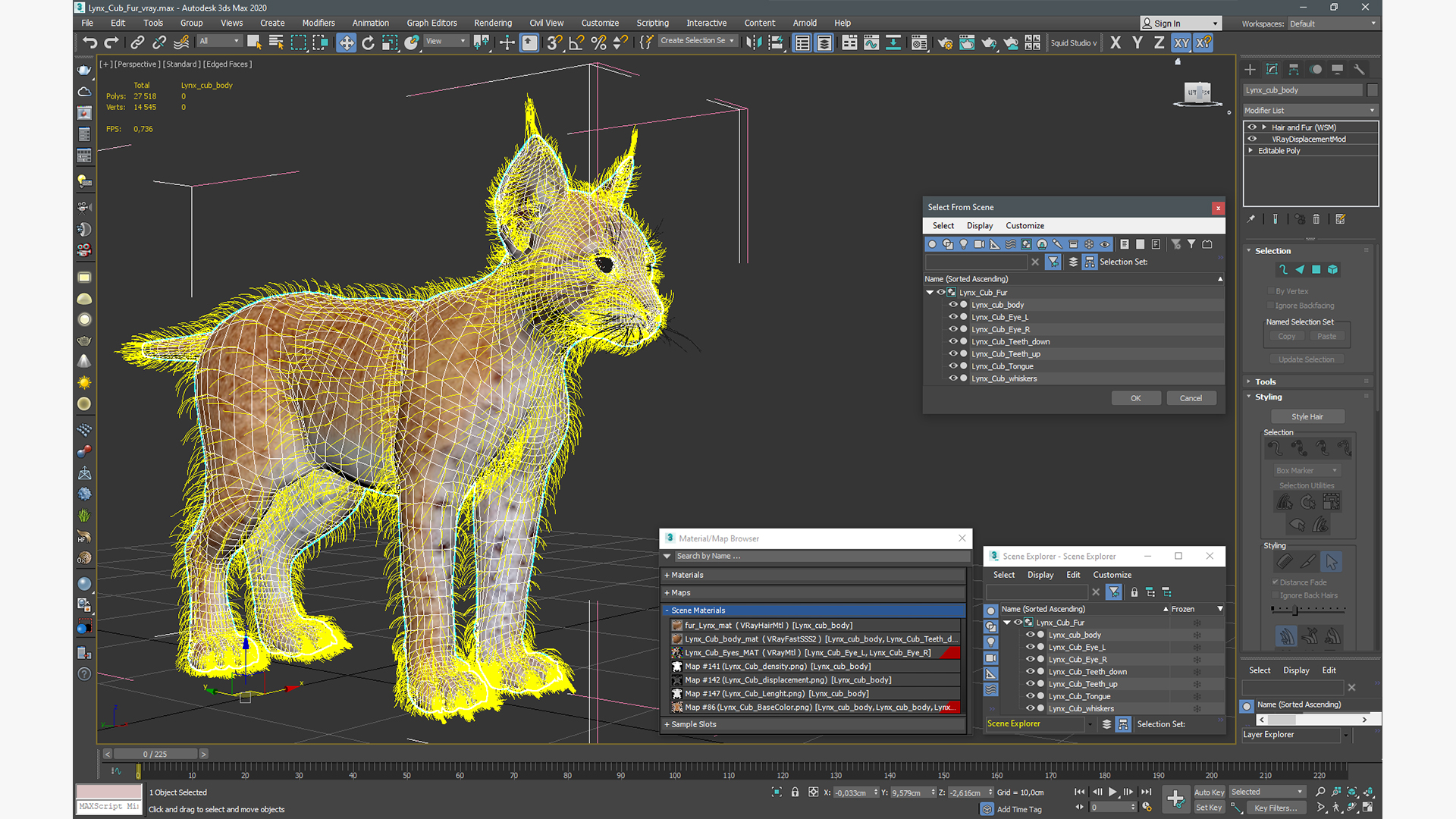 Lynx Cub Fur 3D