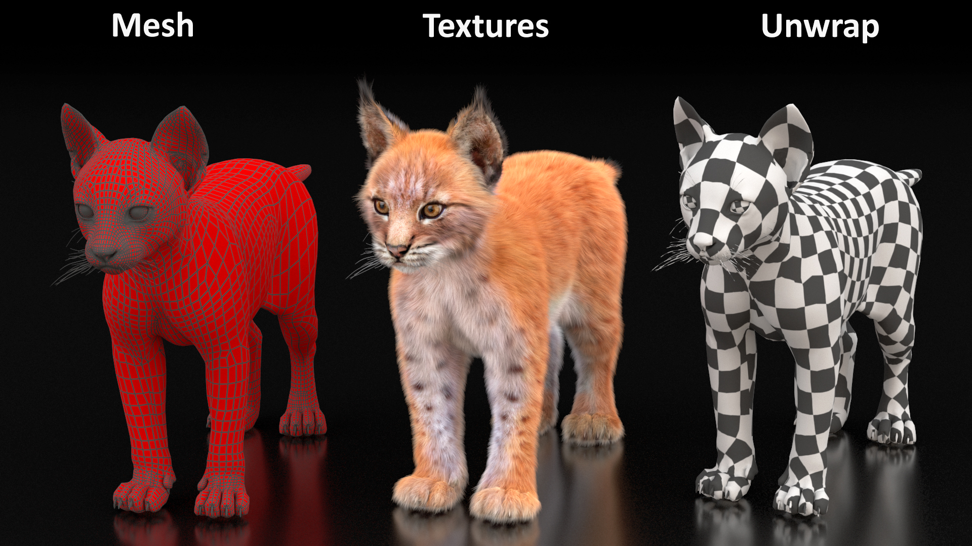 Lynx Cub Fur 3D