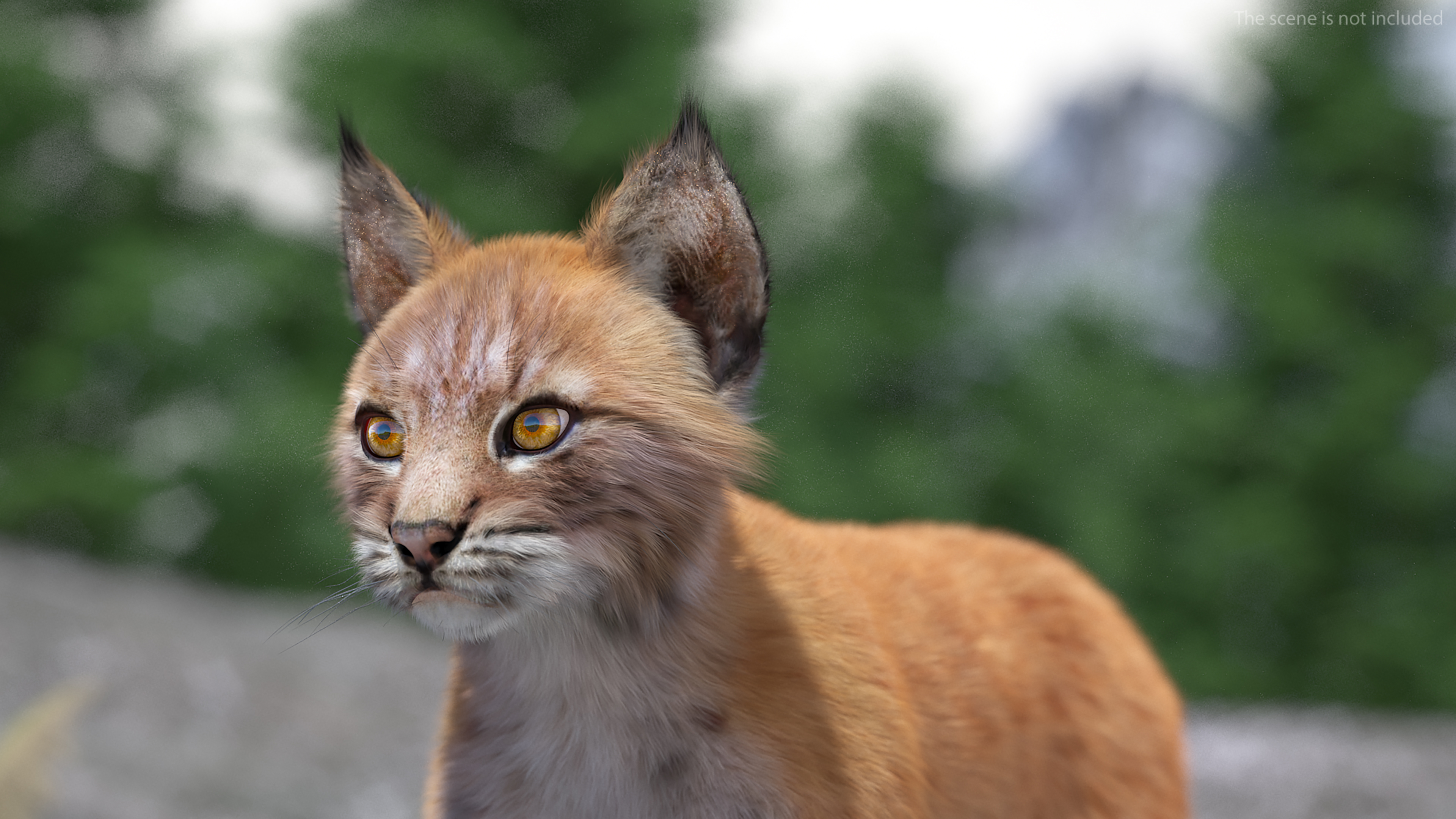 Lynx Cub Fur 3D