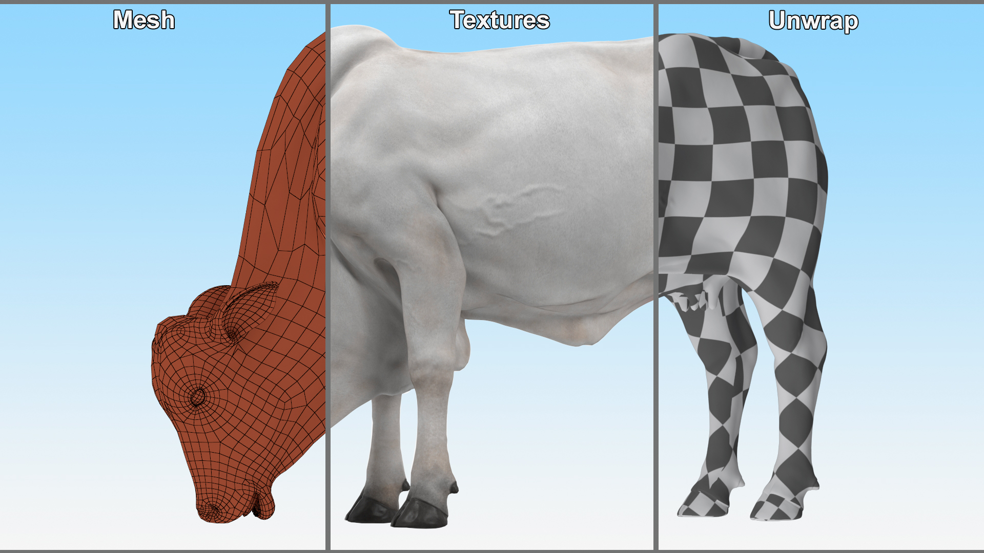 3D Nelore Cow Female Eating Fur model