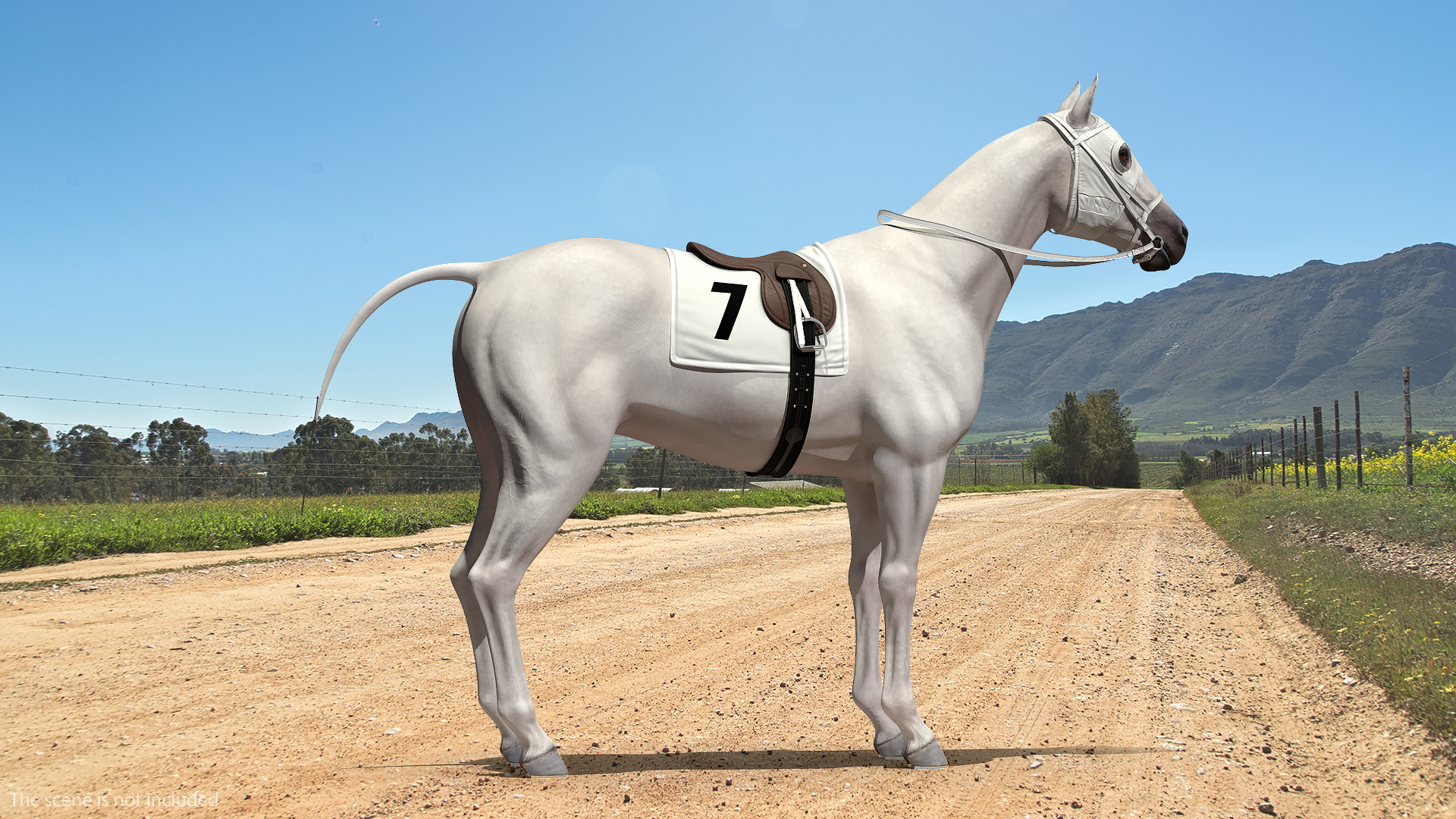 3D model White Racehorse