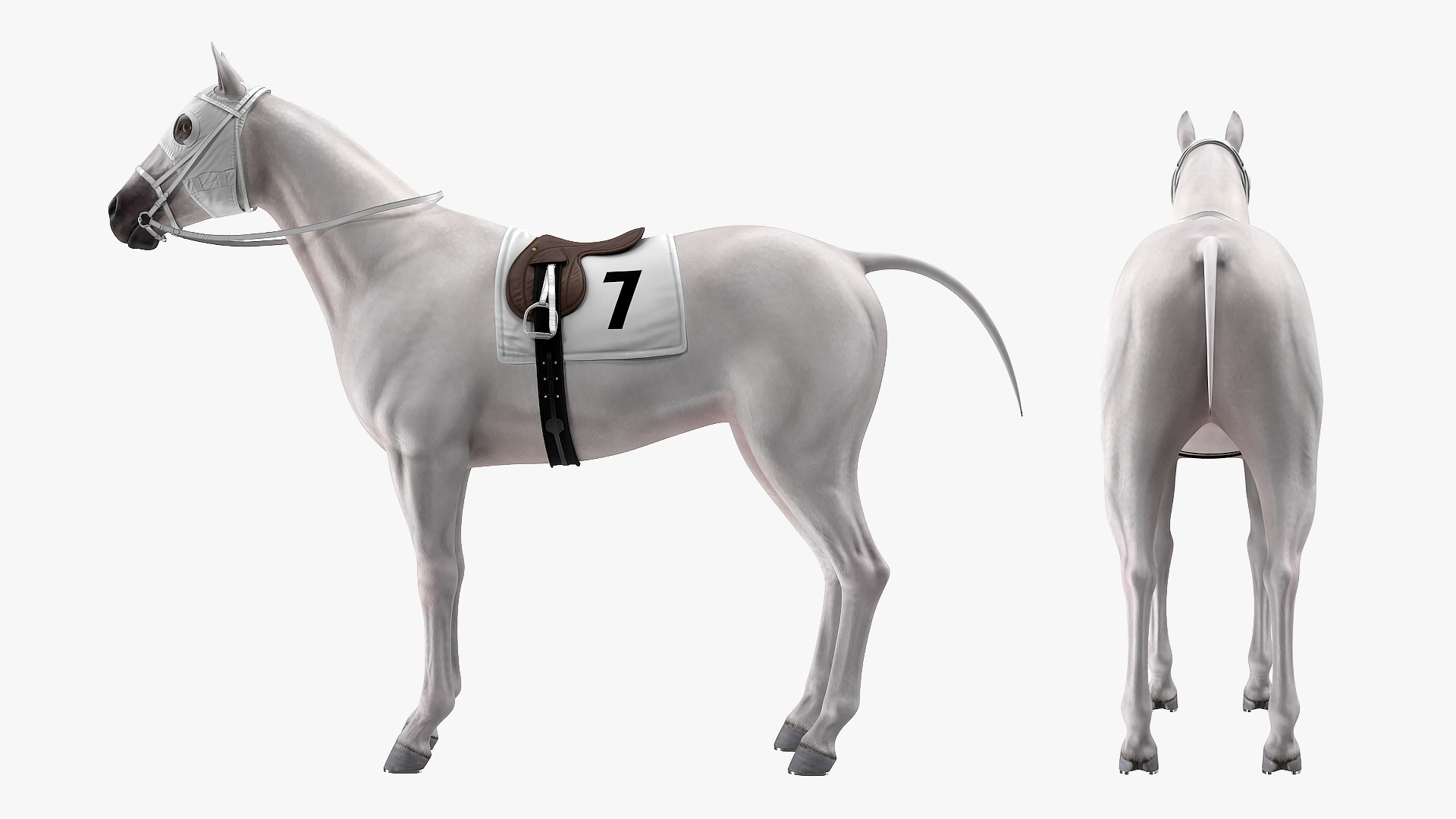 3D model White Racehorse