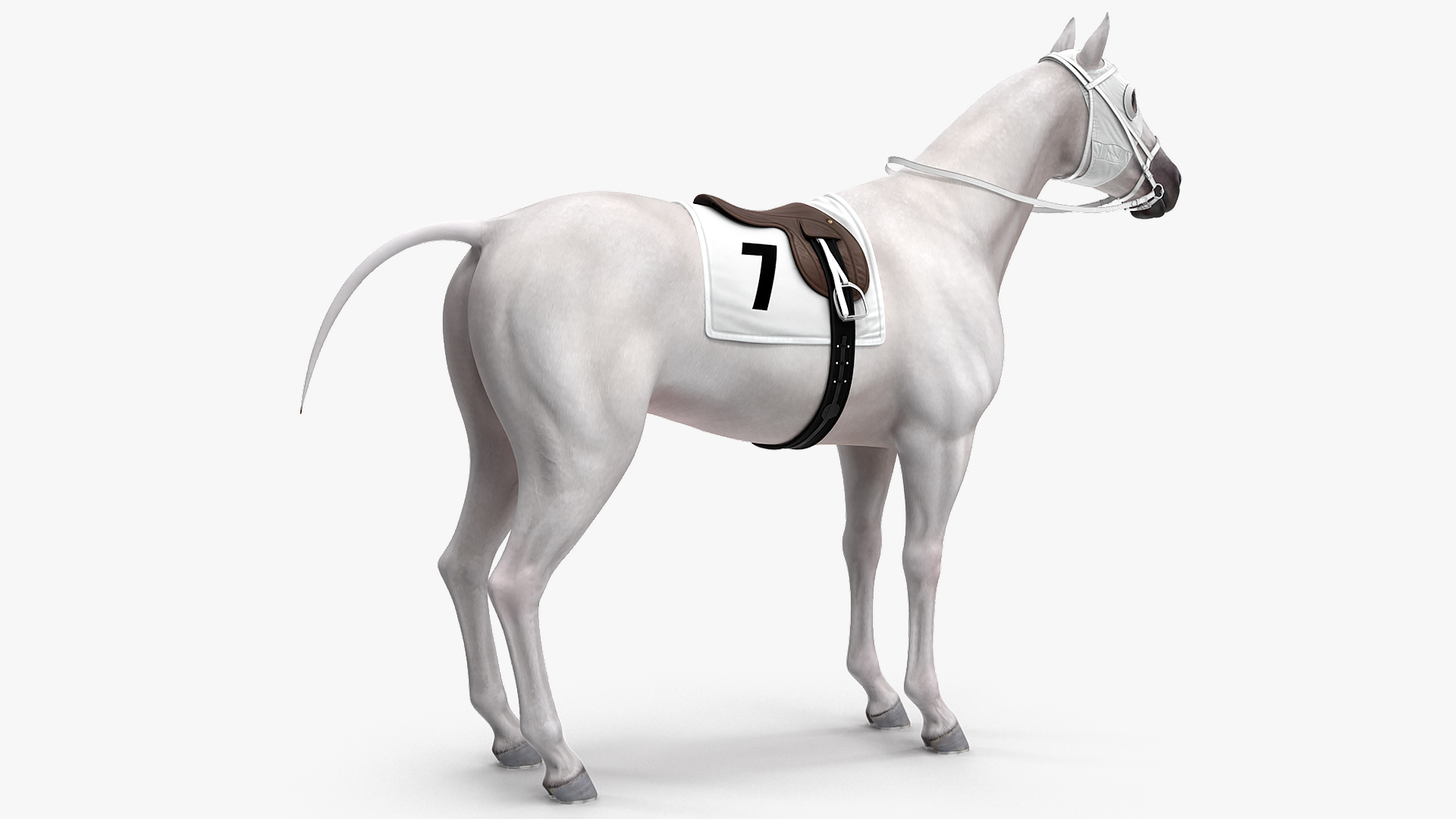 3D model White Racehorse