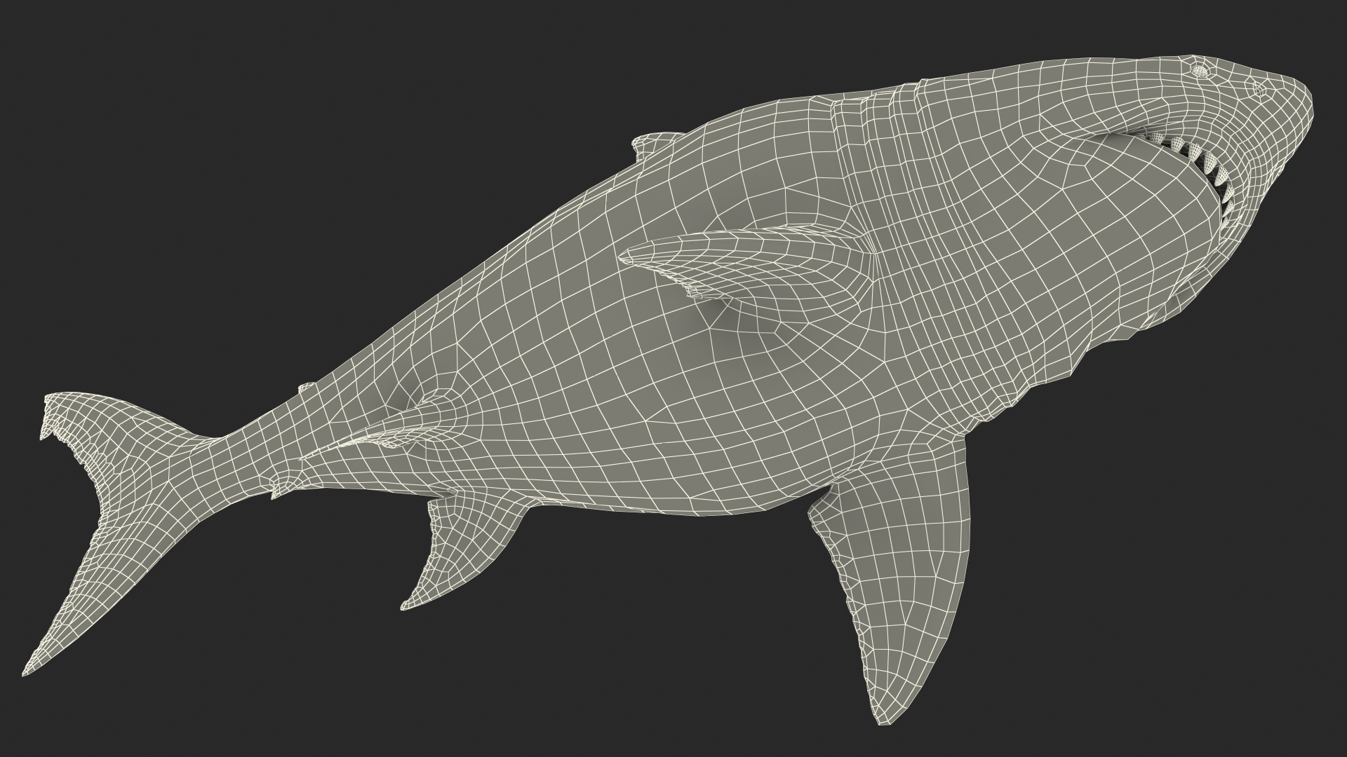 Megalodon 3D model