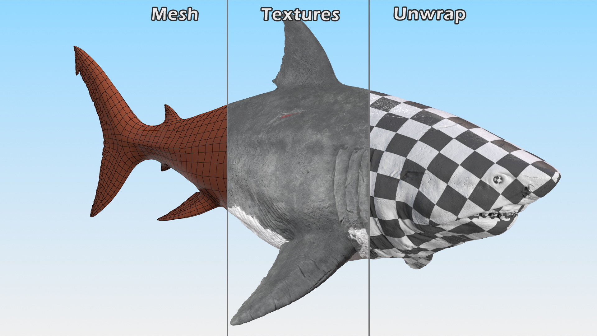 Megalodon 3D model