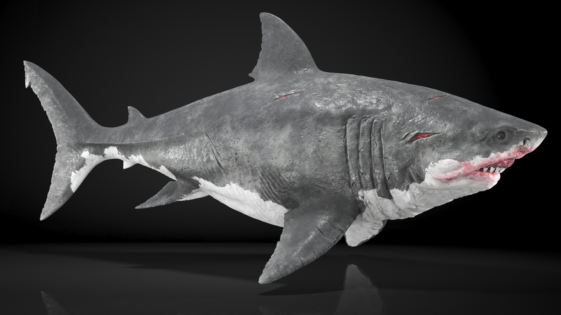 Megalodon 3D model