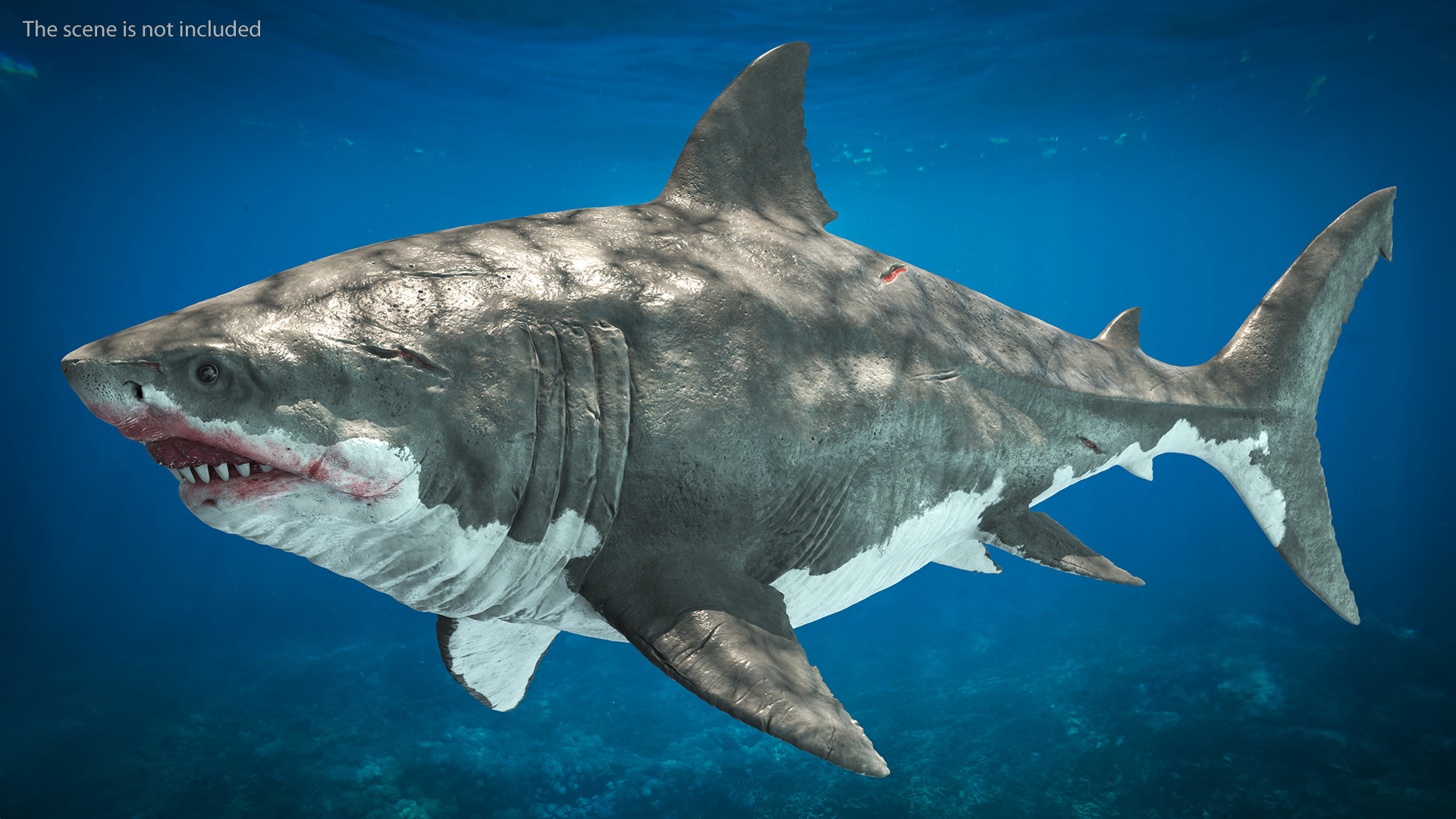 Megalodon 3D model