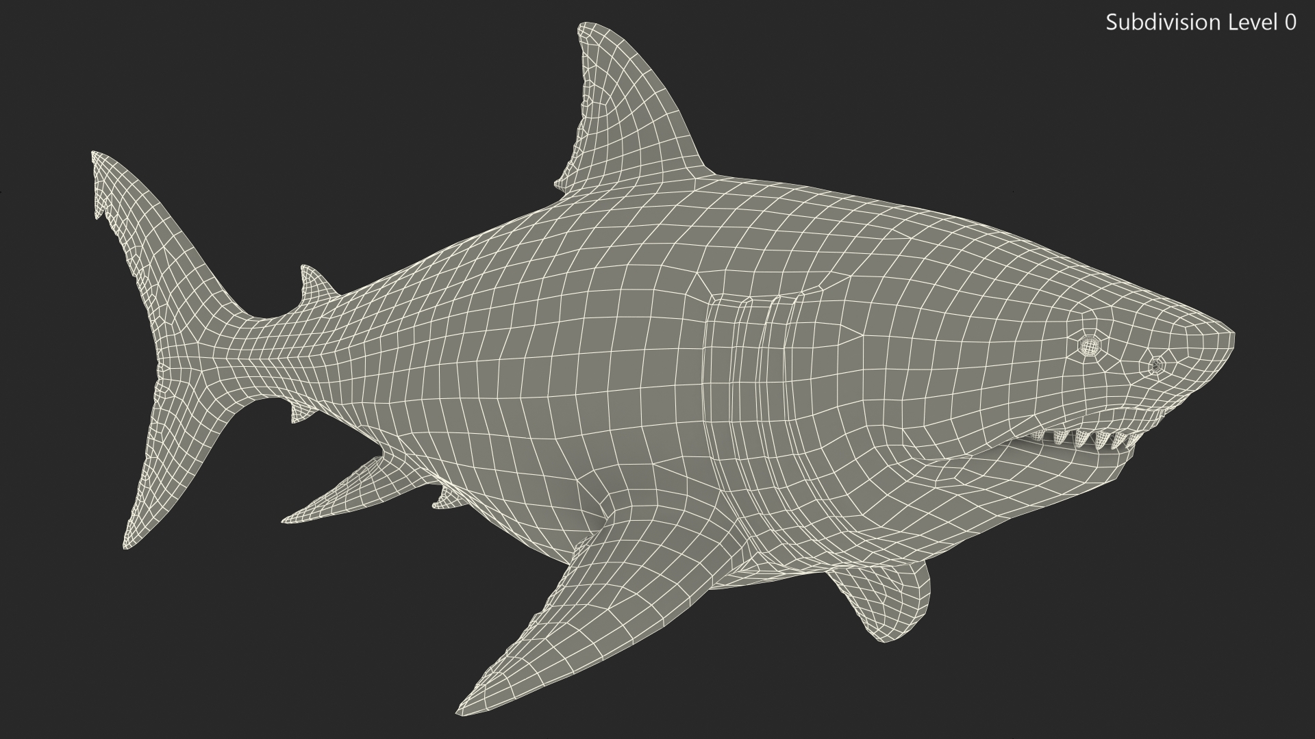 Megalodon 3D model