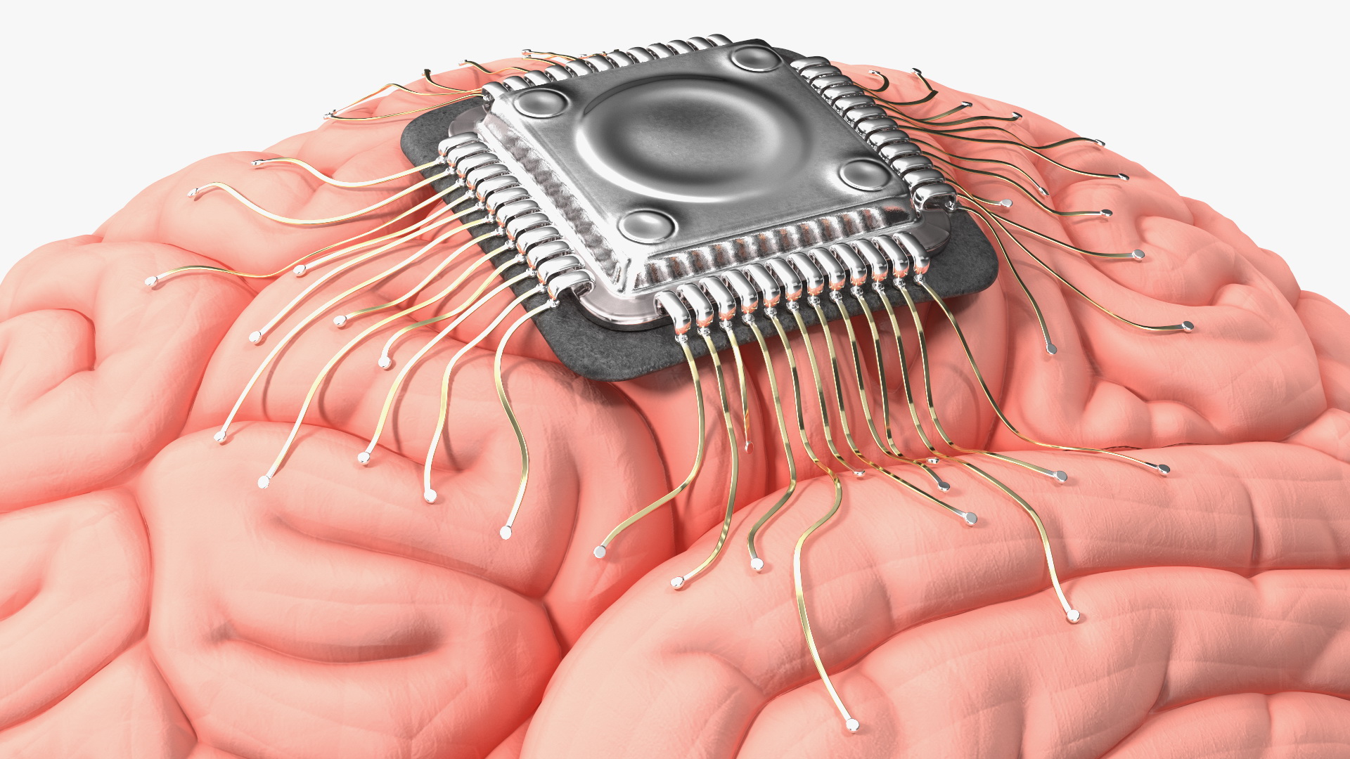 3D Human Brain With Implanted Microchip