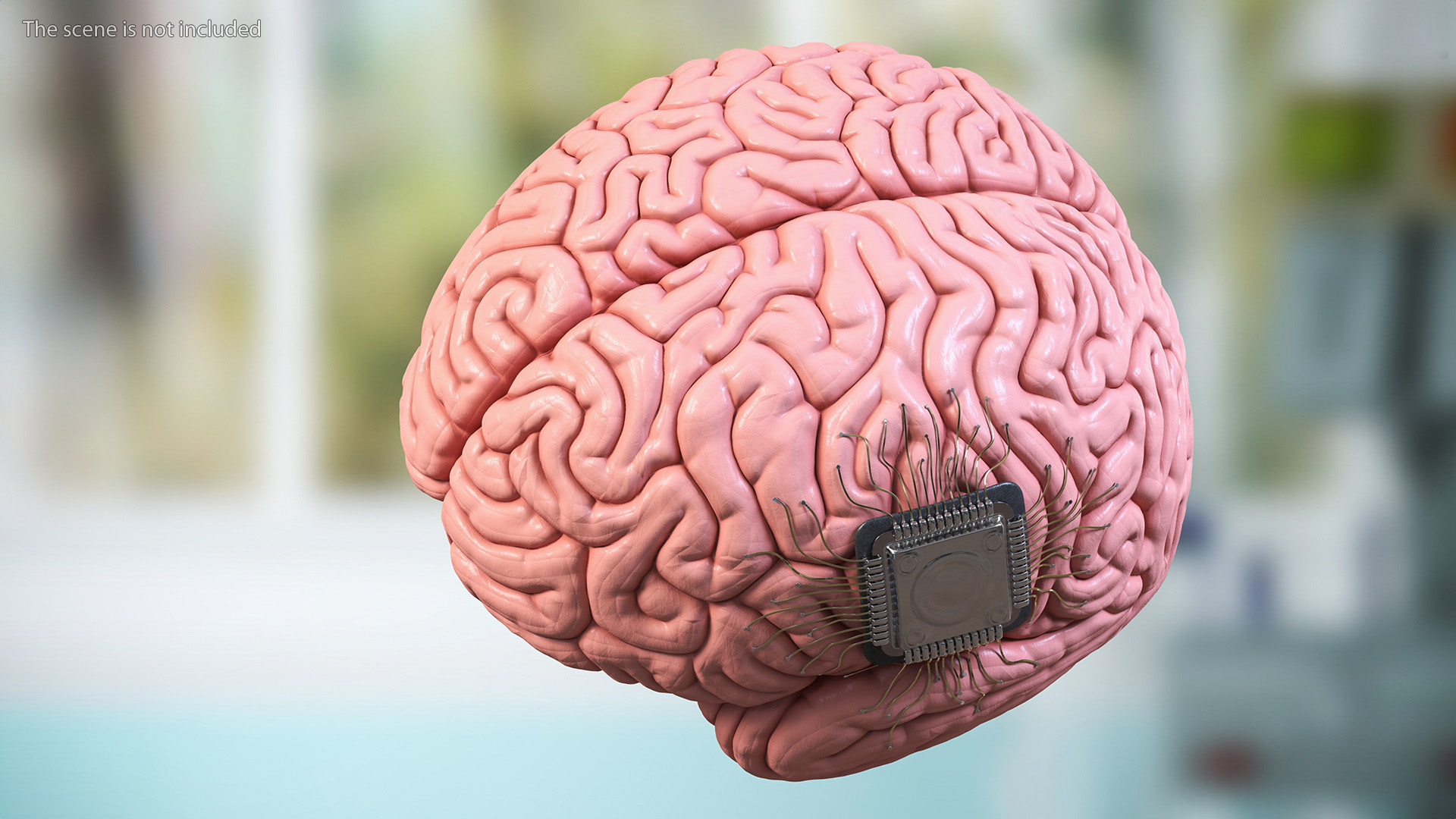 3D Human Brain With Implanted Microchip