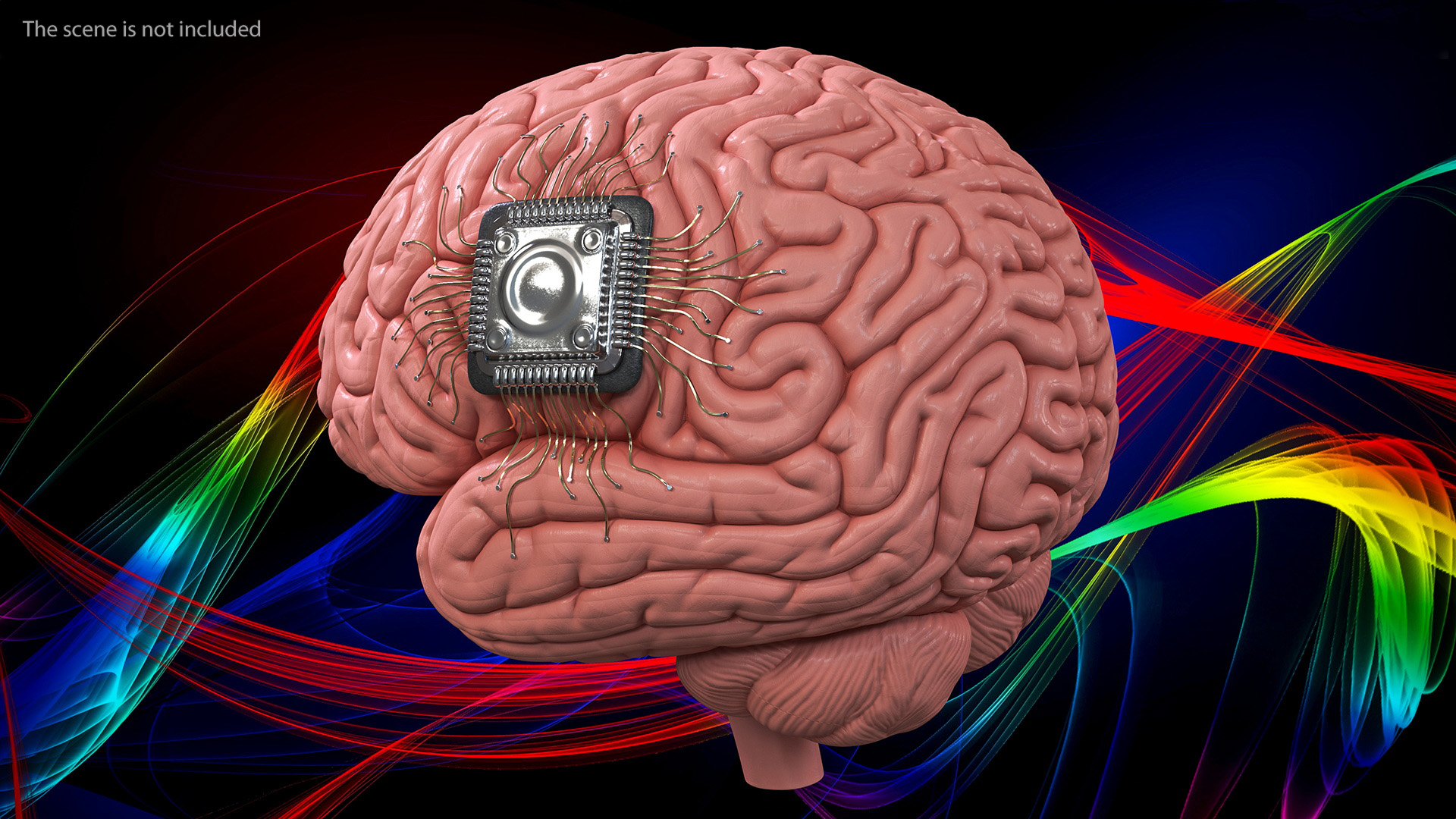 3D Human Brain With Implanted Microchip