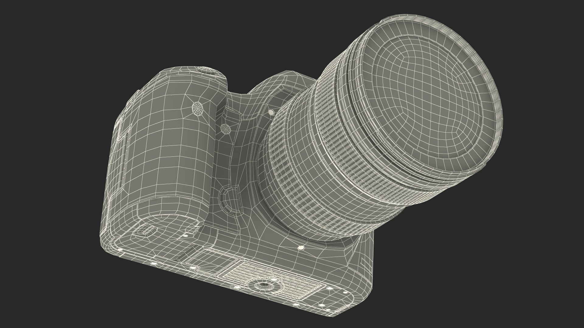 3D Digital SLR Camera model