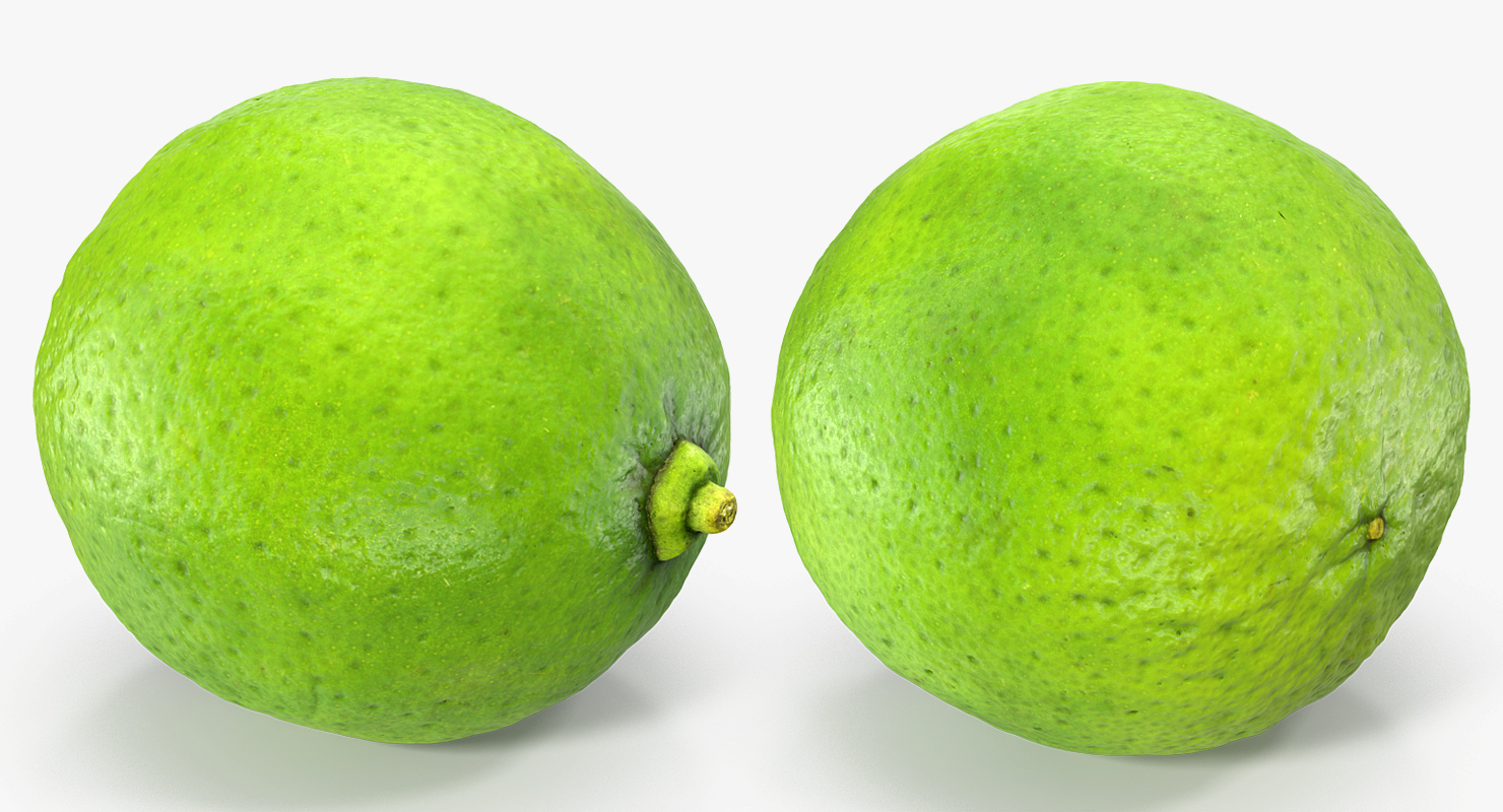 3D model Whole Lime