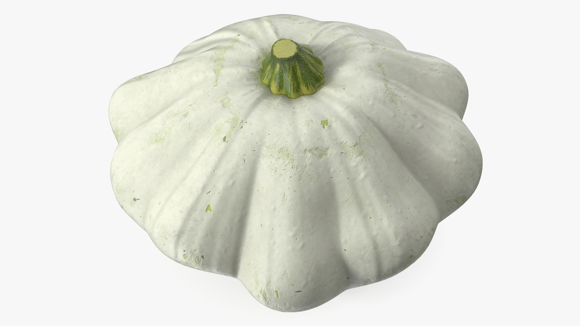 3D Bush Pumpkin White model