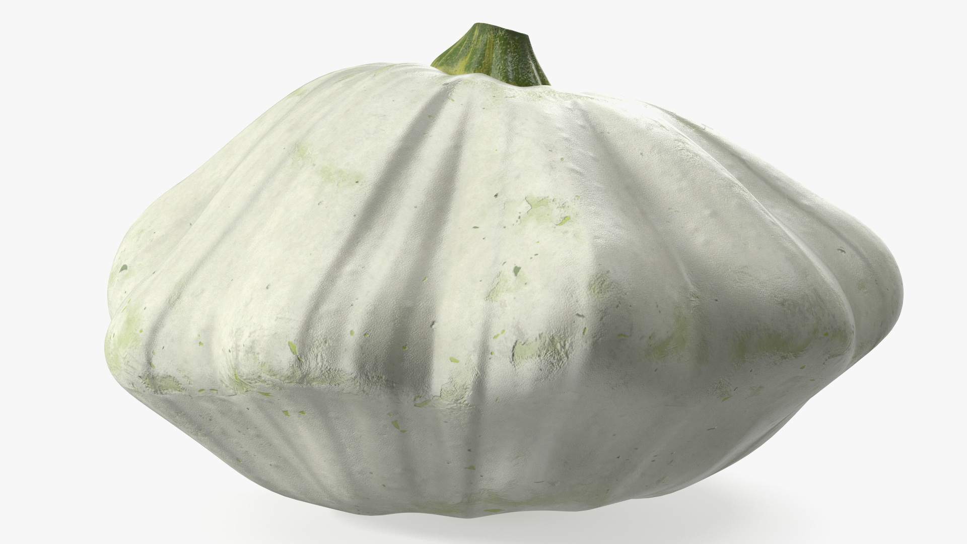 3D Bush Pumpkin White model