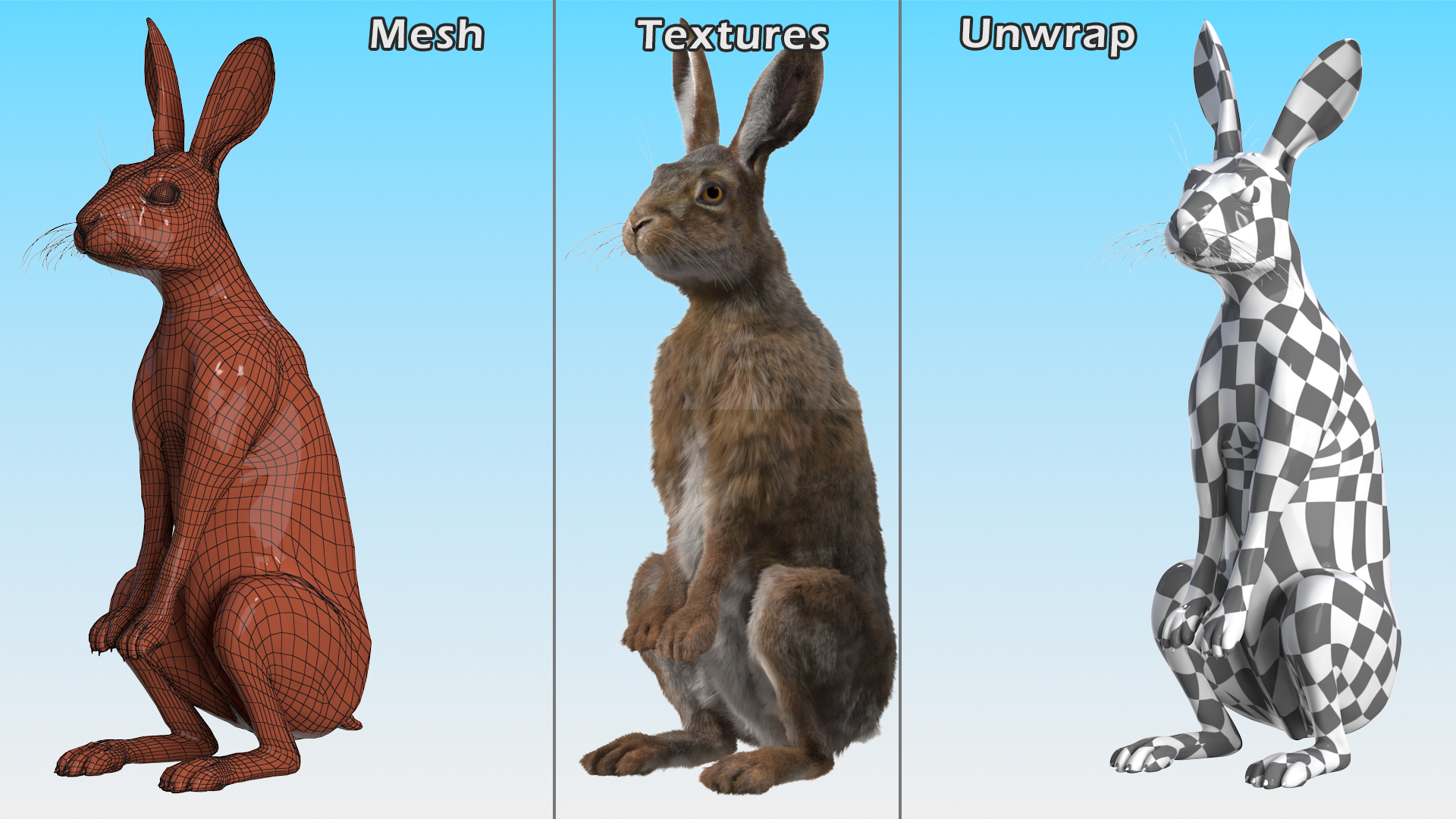 3D Snowshoe Hare Standing Pose Fur