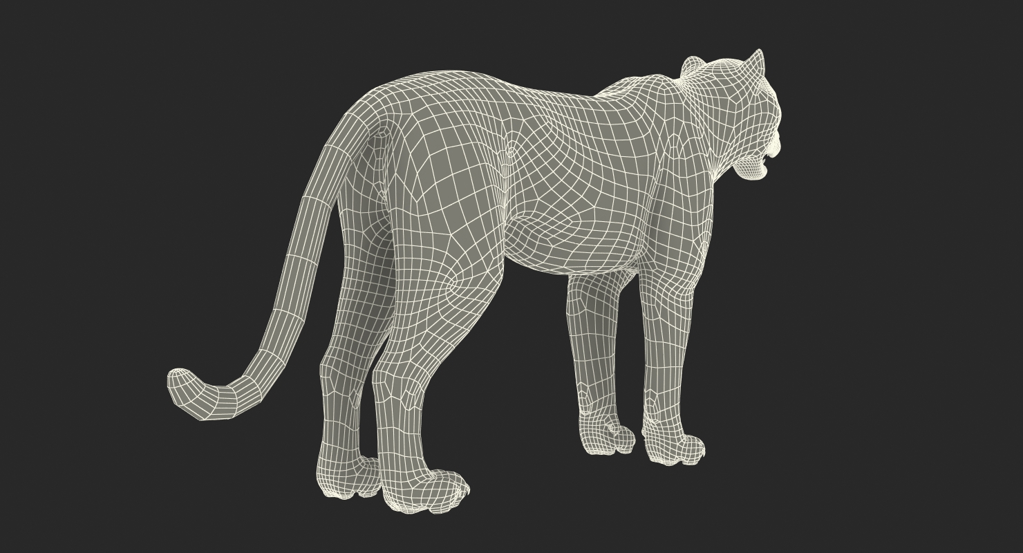 Leopard 3D model