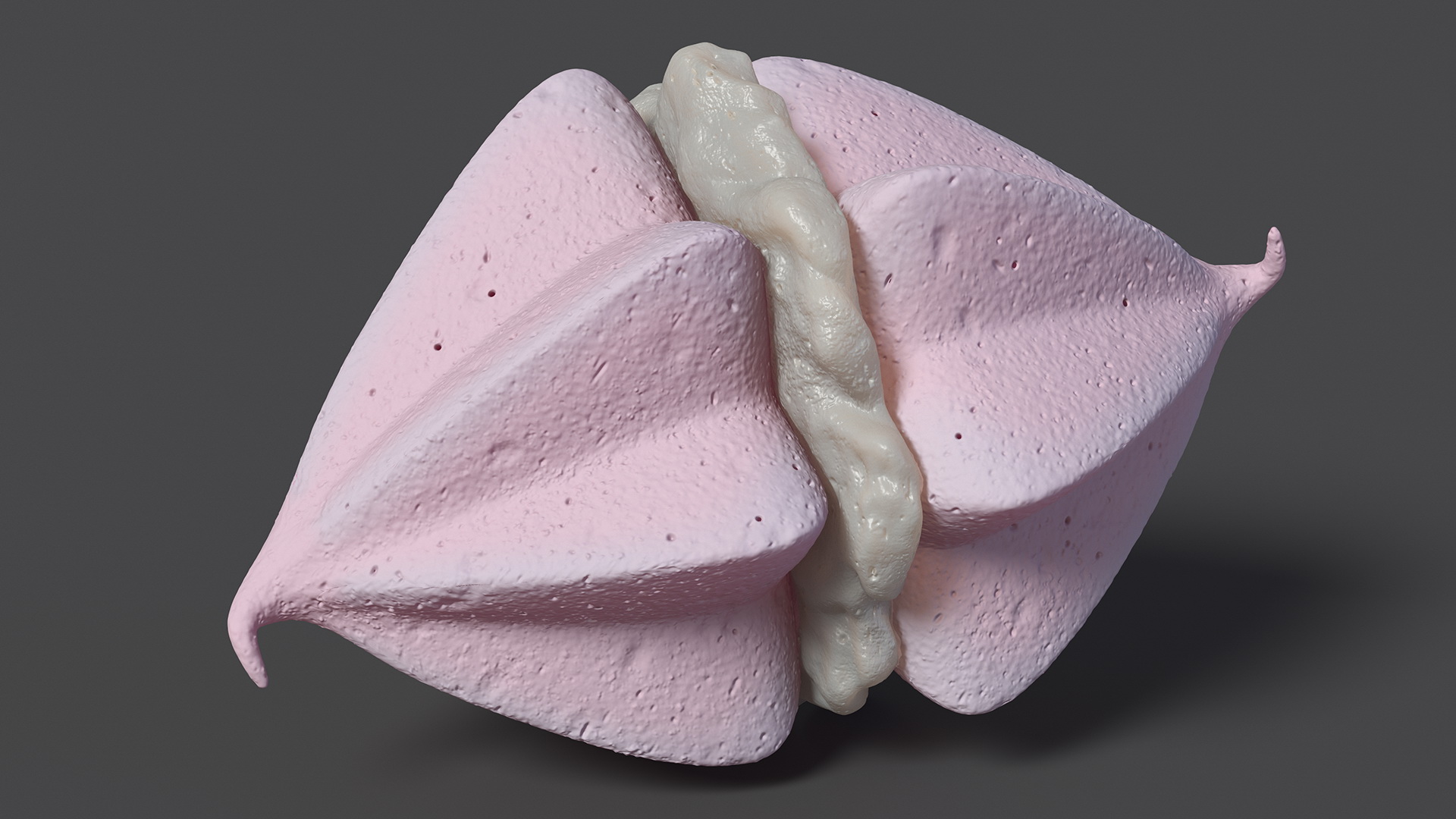 3D Pink Double Meringue with Vanilla Filling