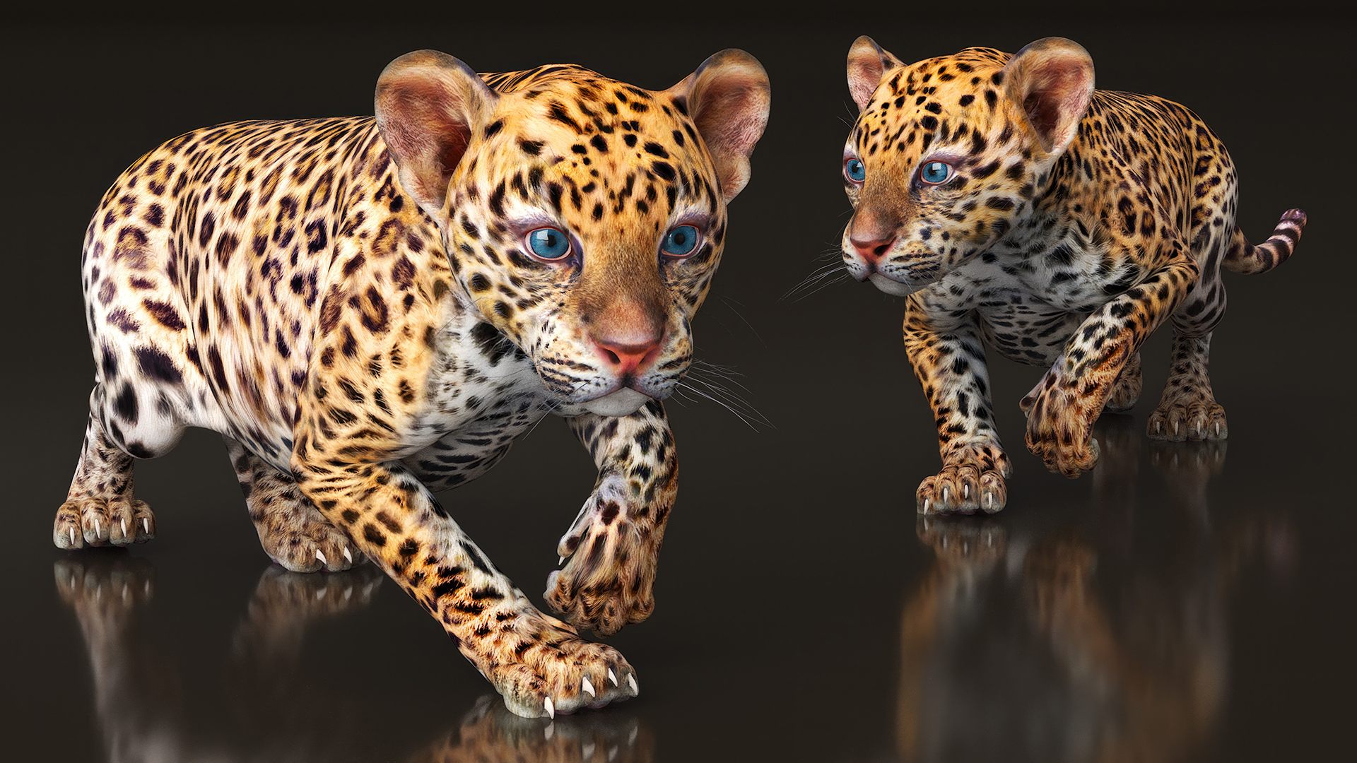 3D model Leopard Cub Sneaking Pose