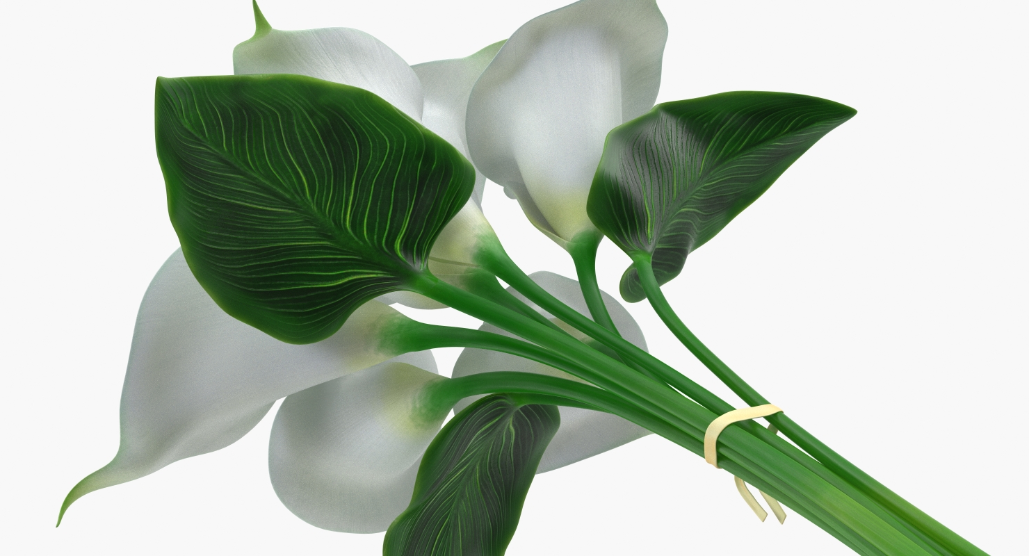 3D model Bouquet Calla Lilies