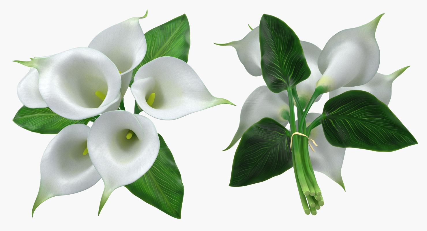 3D model Bouquet Calla Lilies