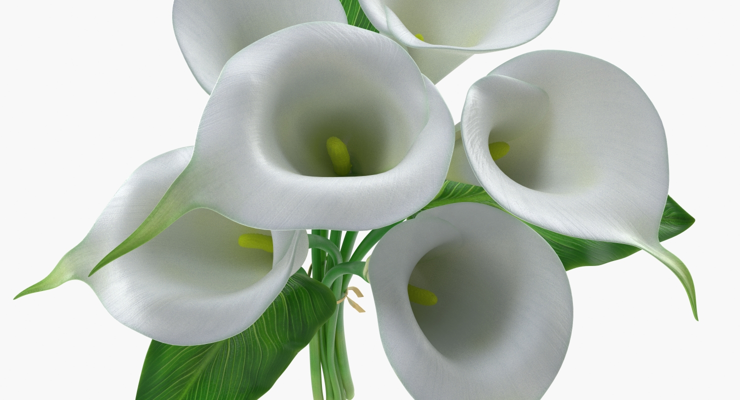 3D model Bouquet Calla Lilies