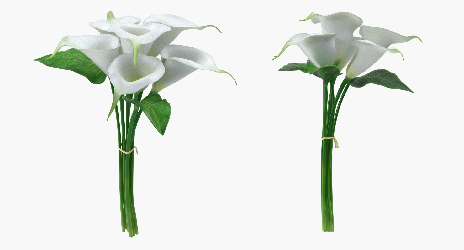 3D model Bouquet Calla Lilies