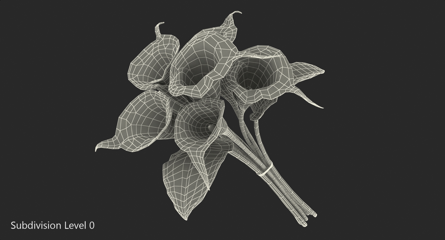 3D model Bouquet Calla Lilies