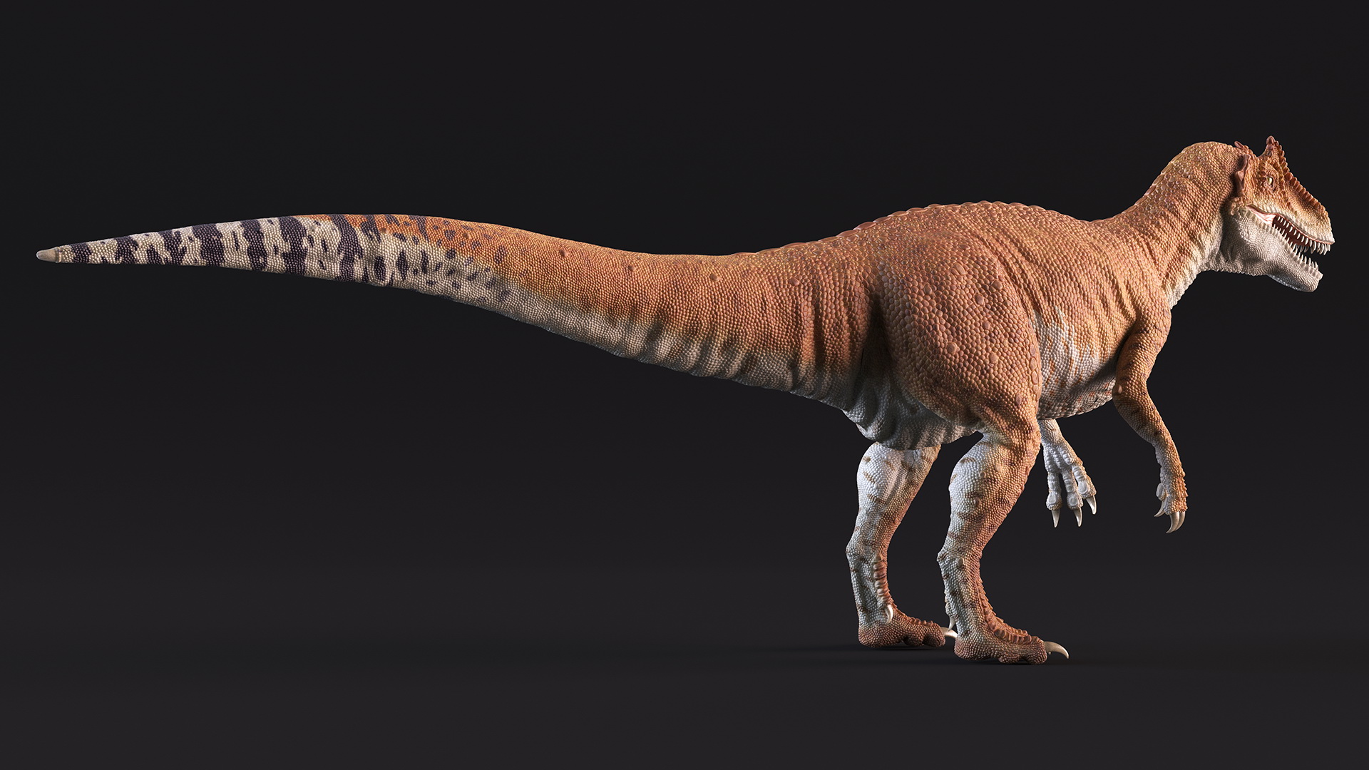 3D Allosaurus Yellow Coloring Rigged model